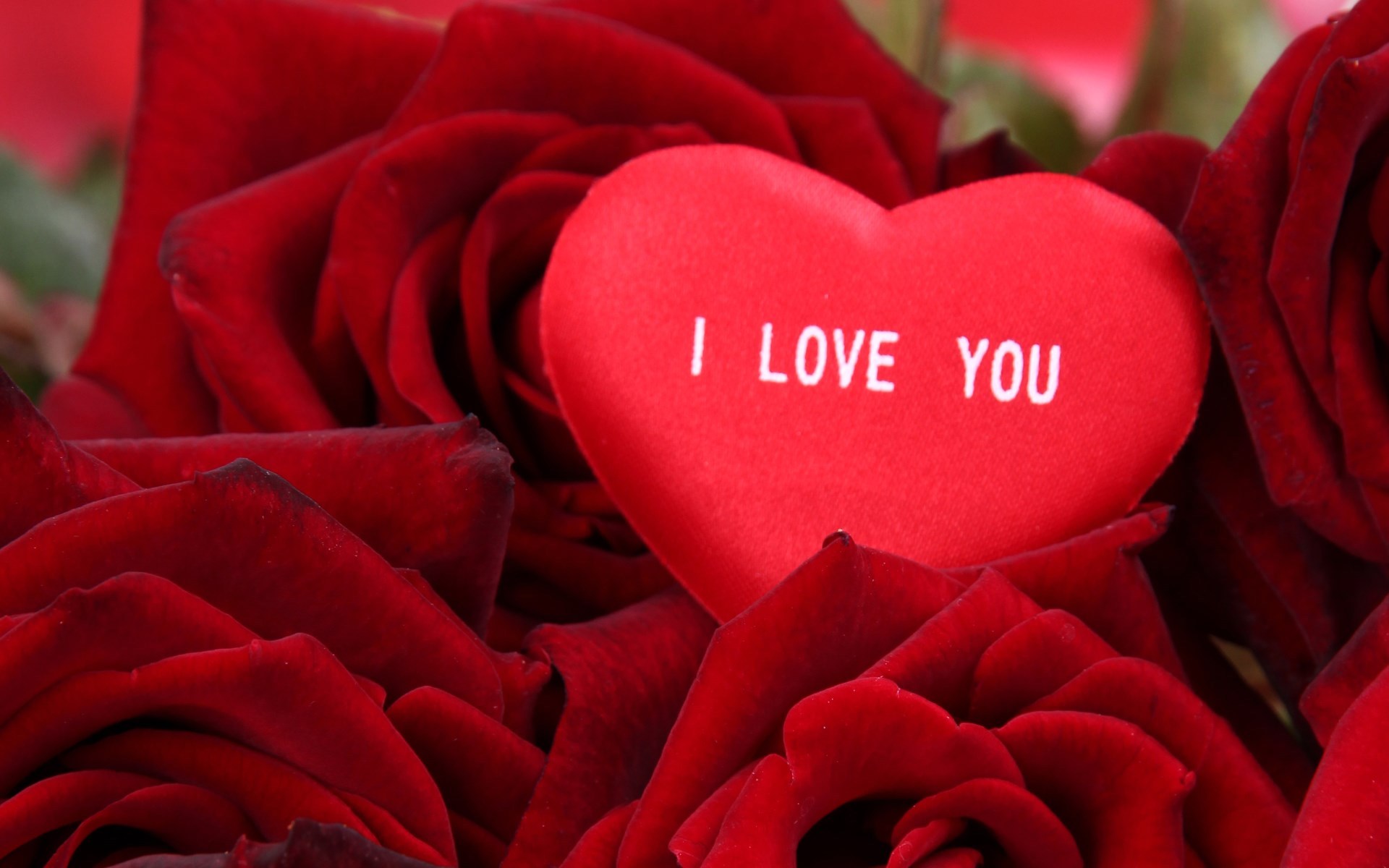 爱情箴言 我爱你 爱心 玫瑰花