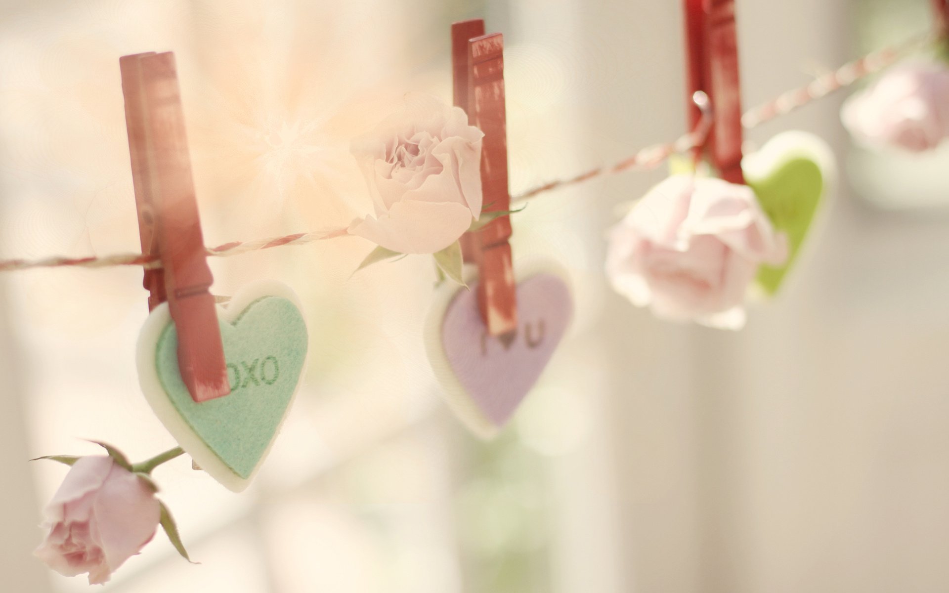 心动创意 爱心 花朵