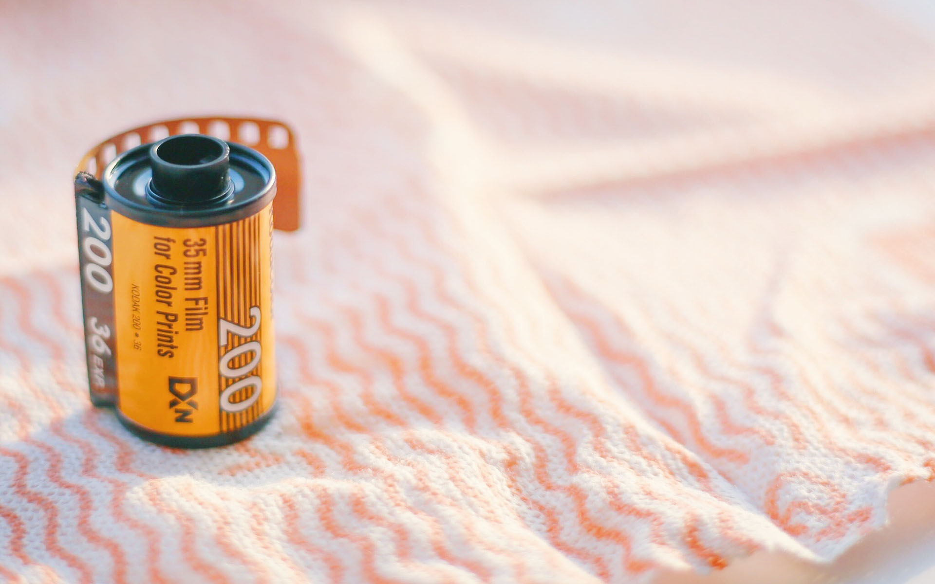 静物写真  唯美意境小清新图片