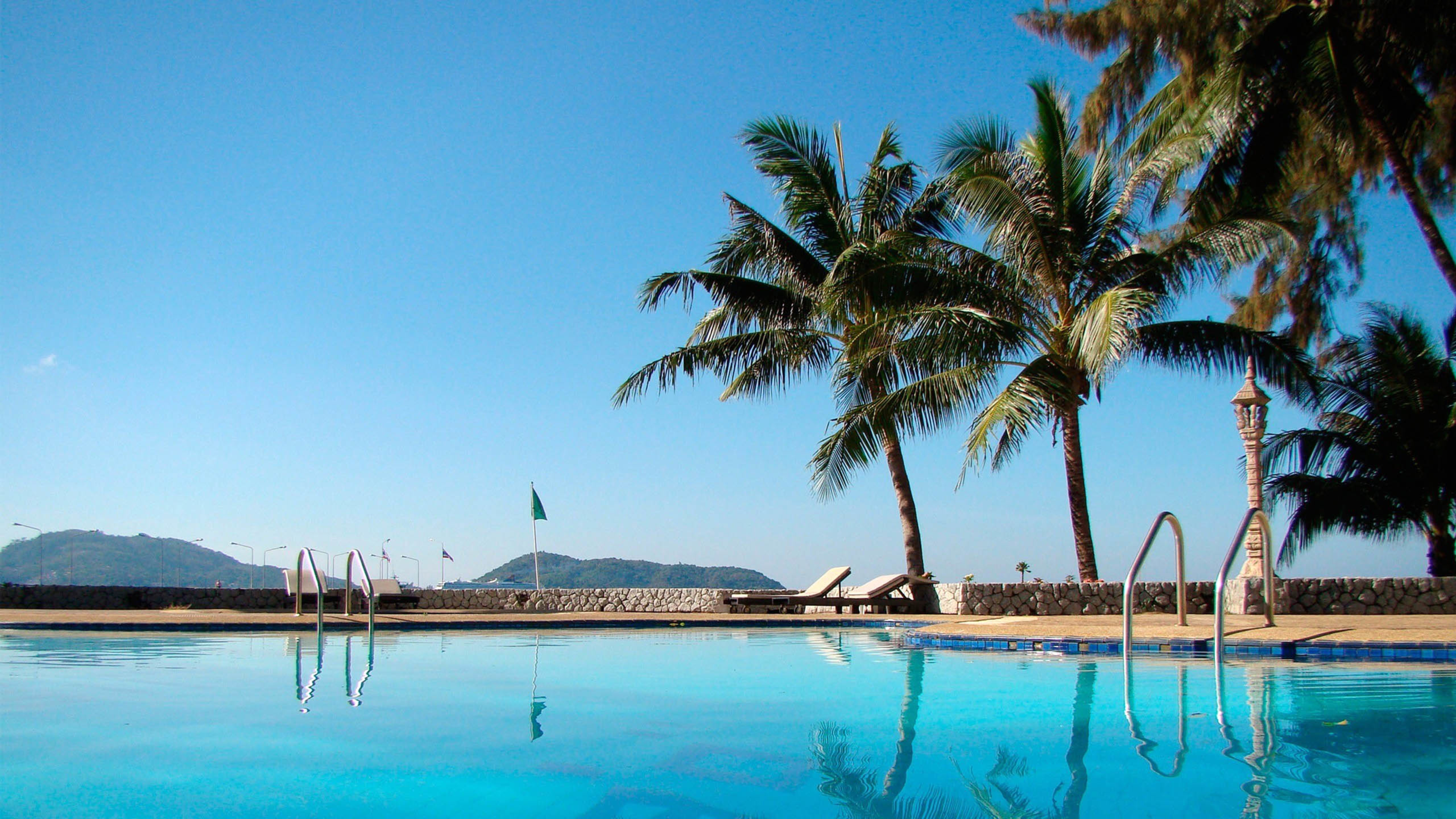 椰子树 游泳池