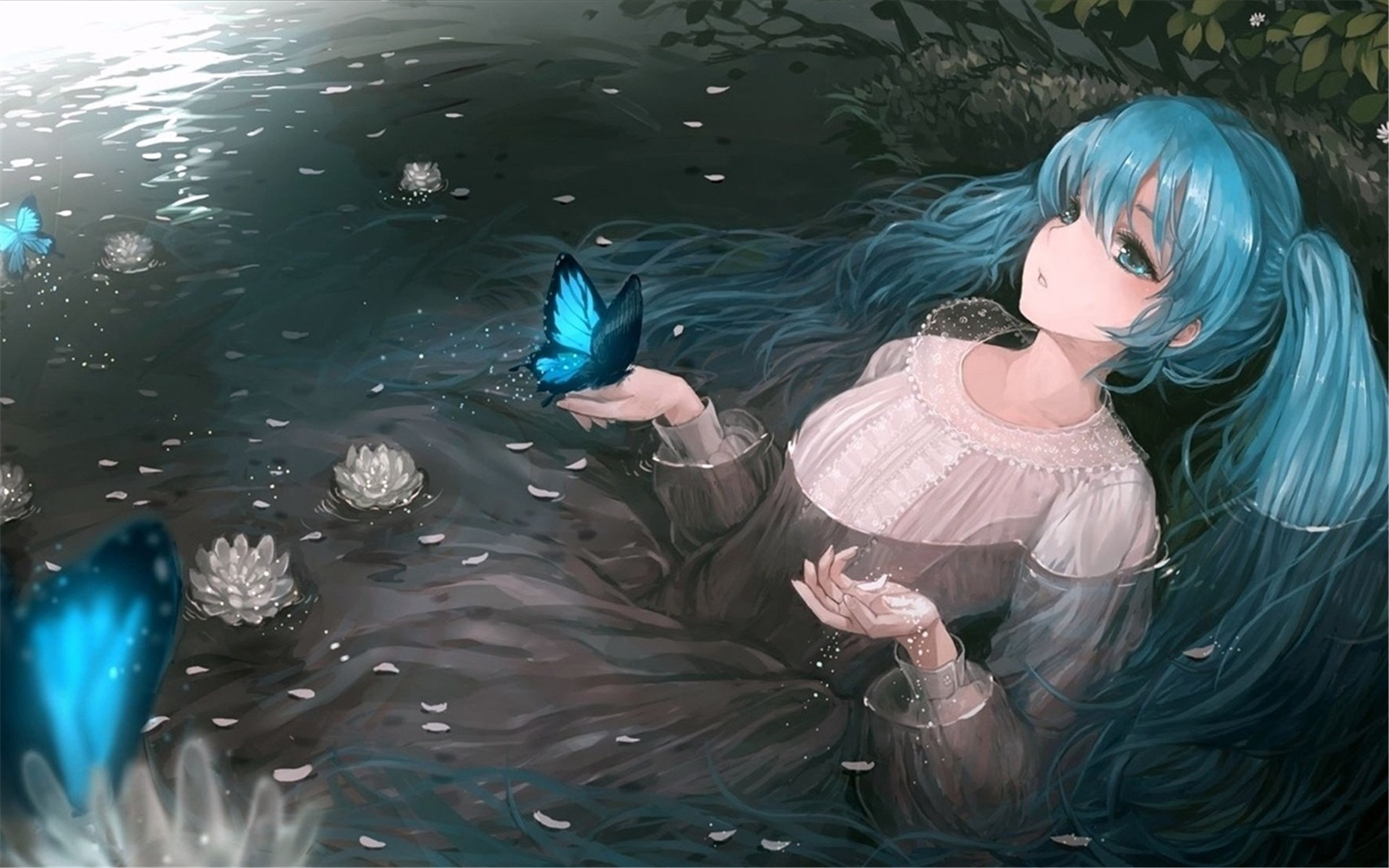 二次元 女孩 蝴蝶