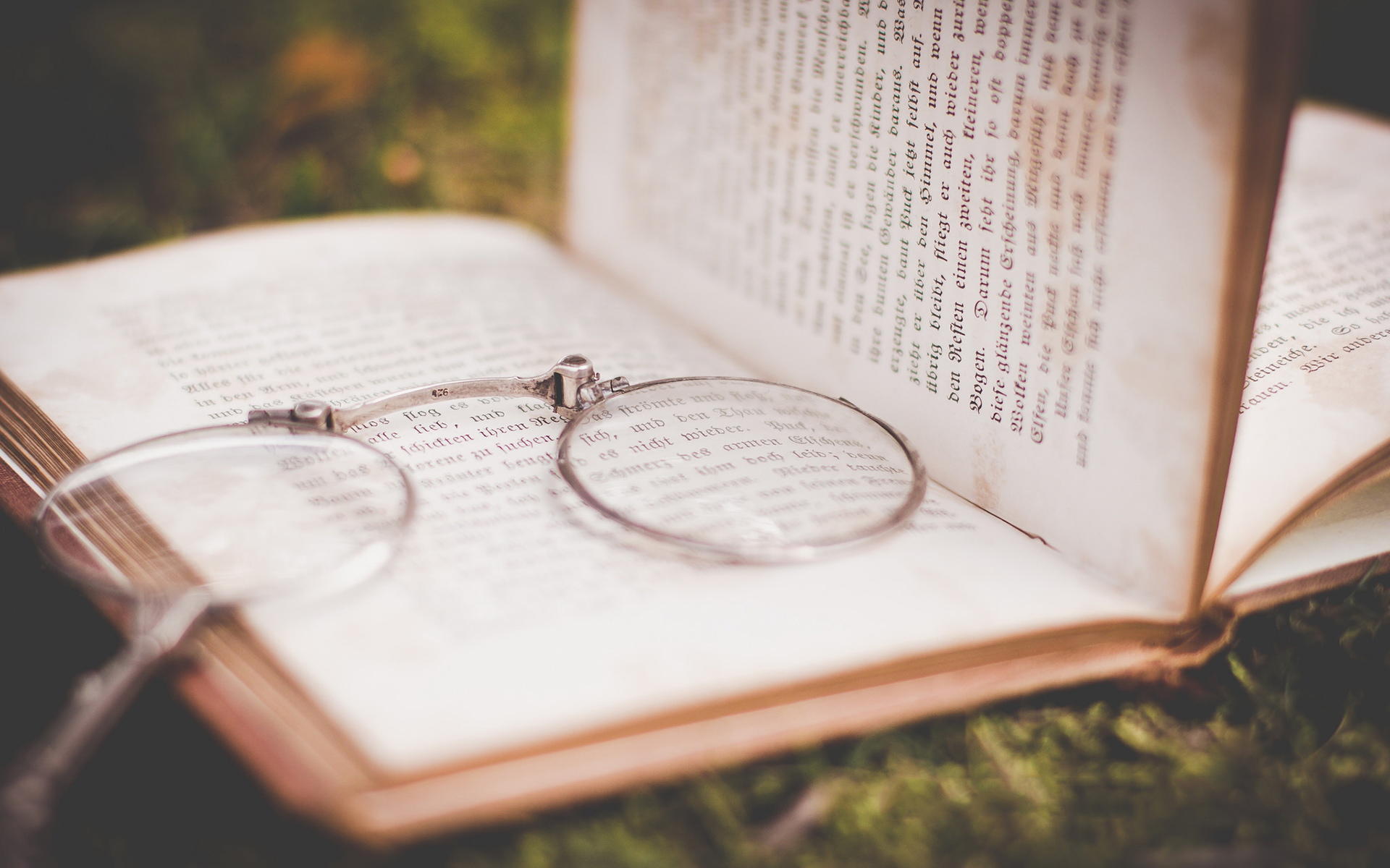 静物写真  安静的看书