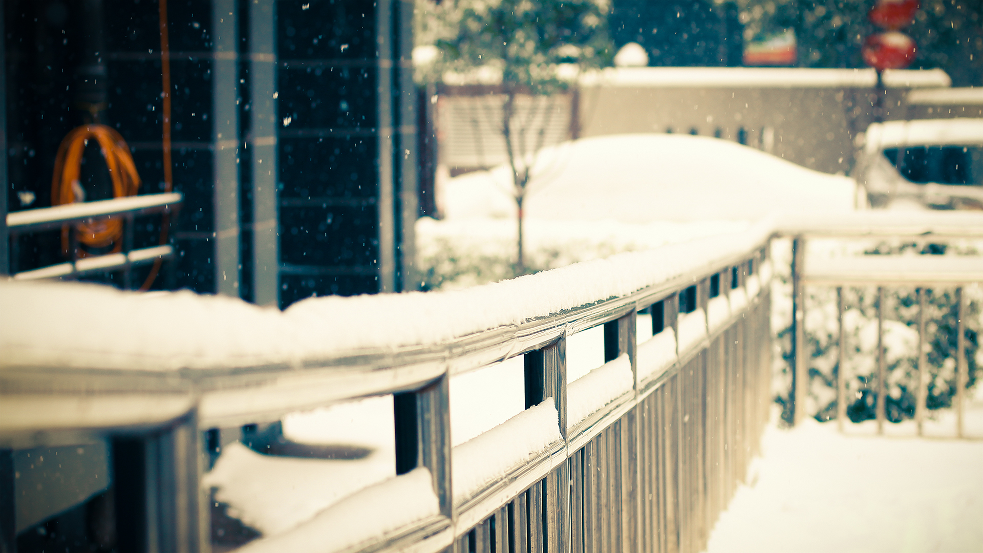 雪景 自然