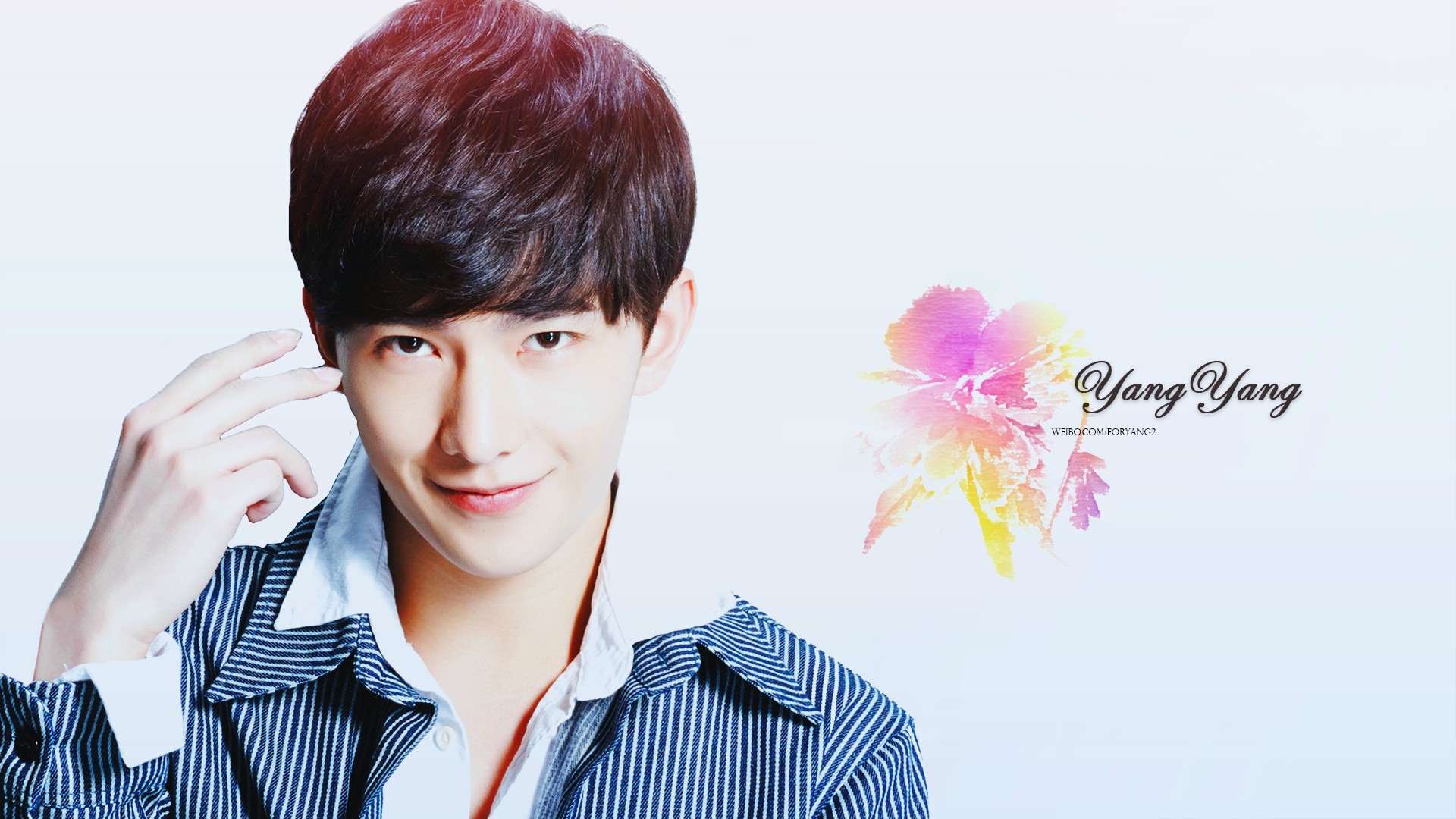 明星 大陆明星 杨洋