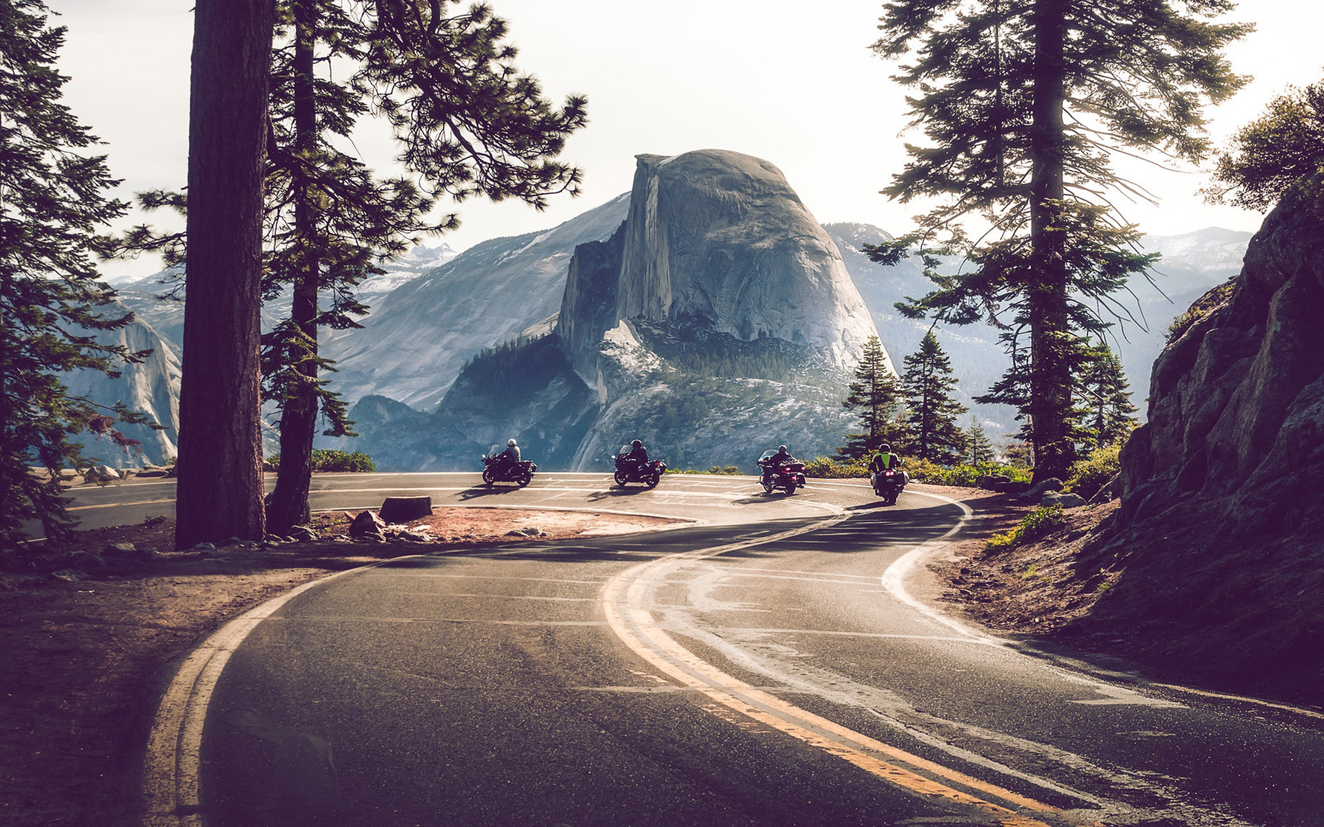 风景 自然风光 道路