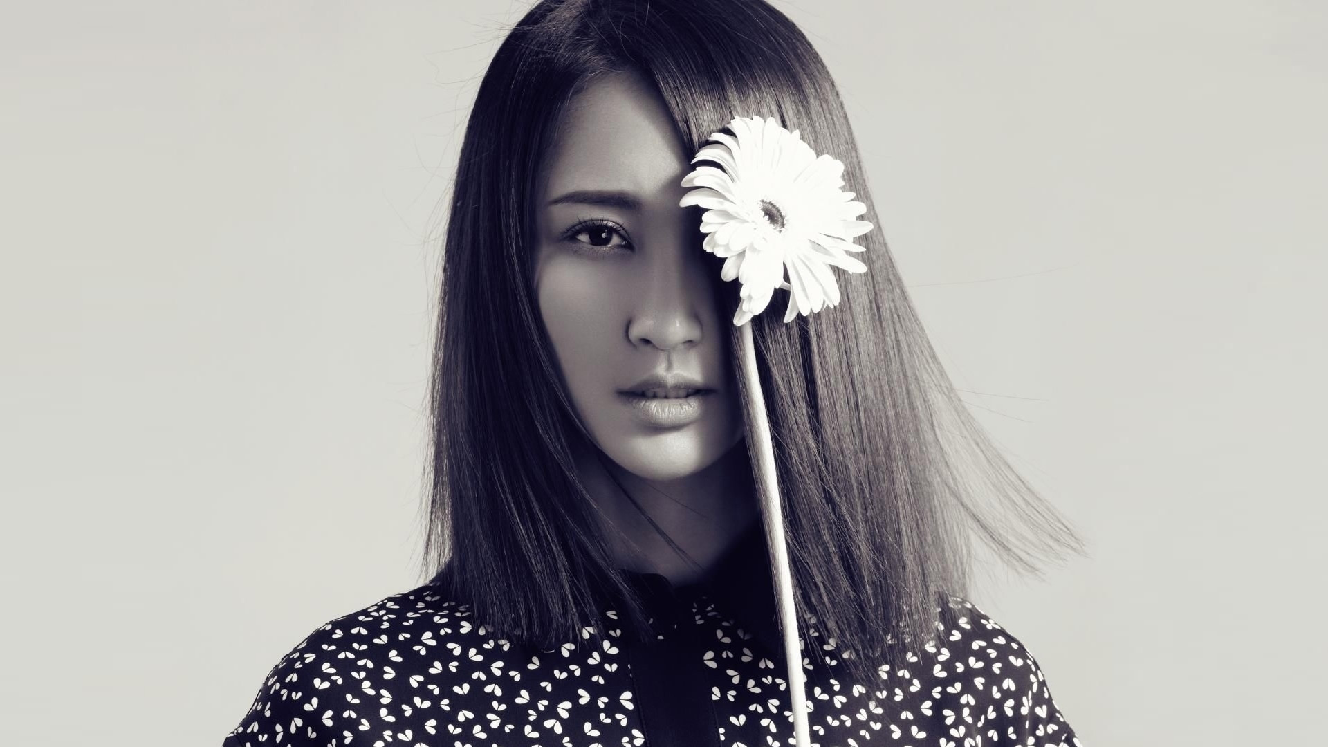 张歆艺 演员 美女 明星 宽屏