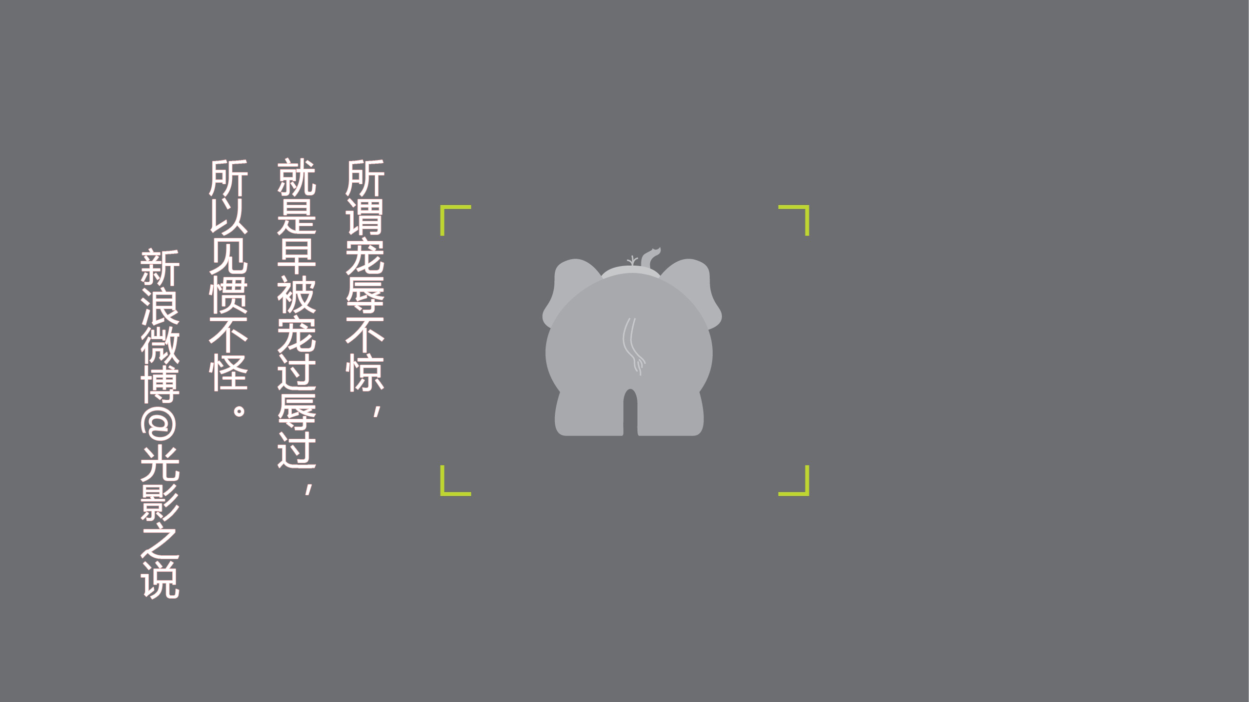 文字 语录 感悟