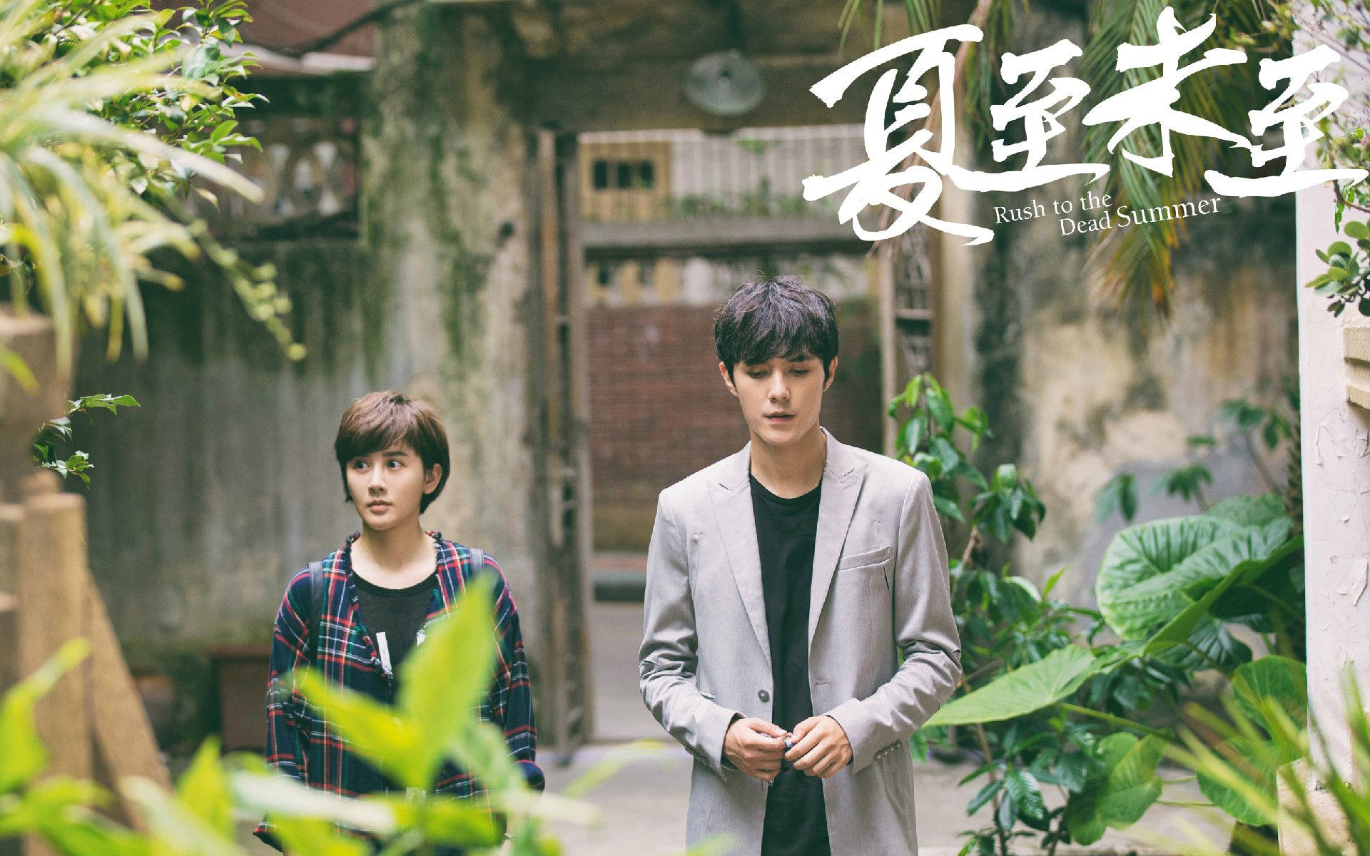 影视 电视剧 夏至未至