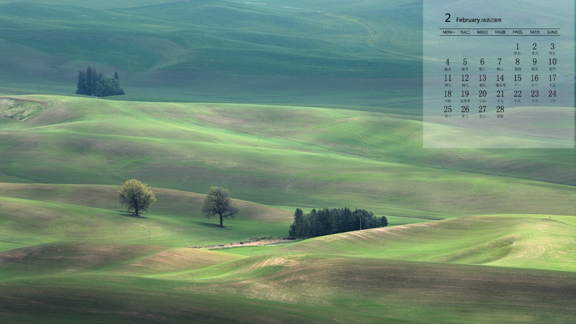 月历 2019年2月