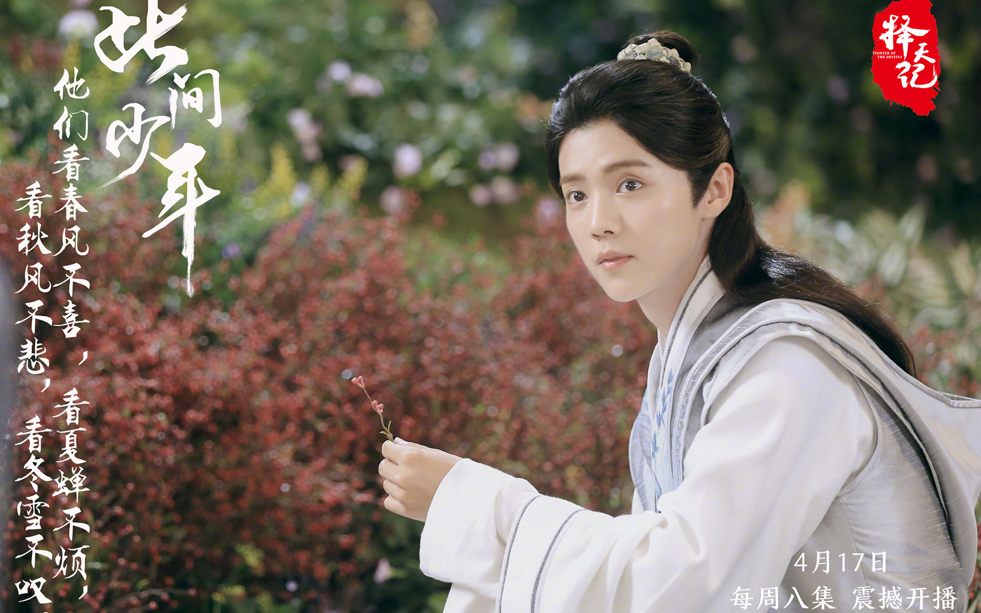 择天记 鹿晗 文字