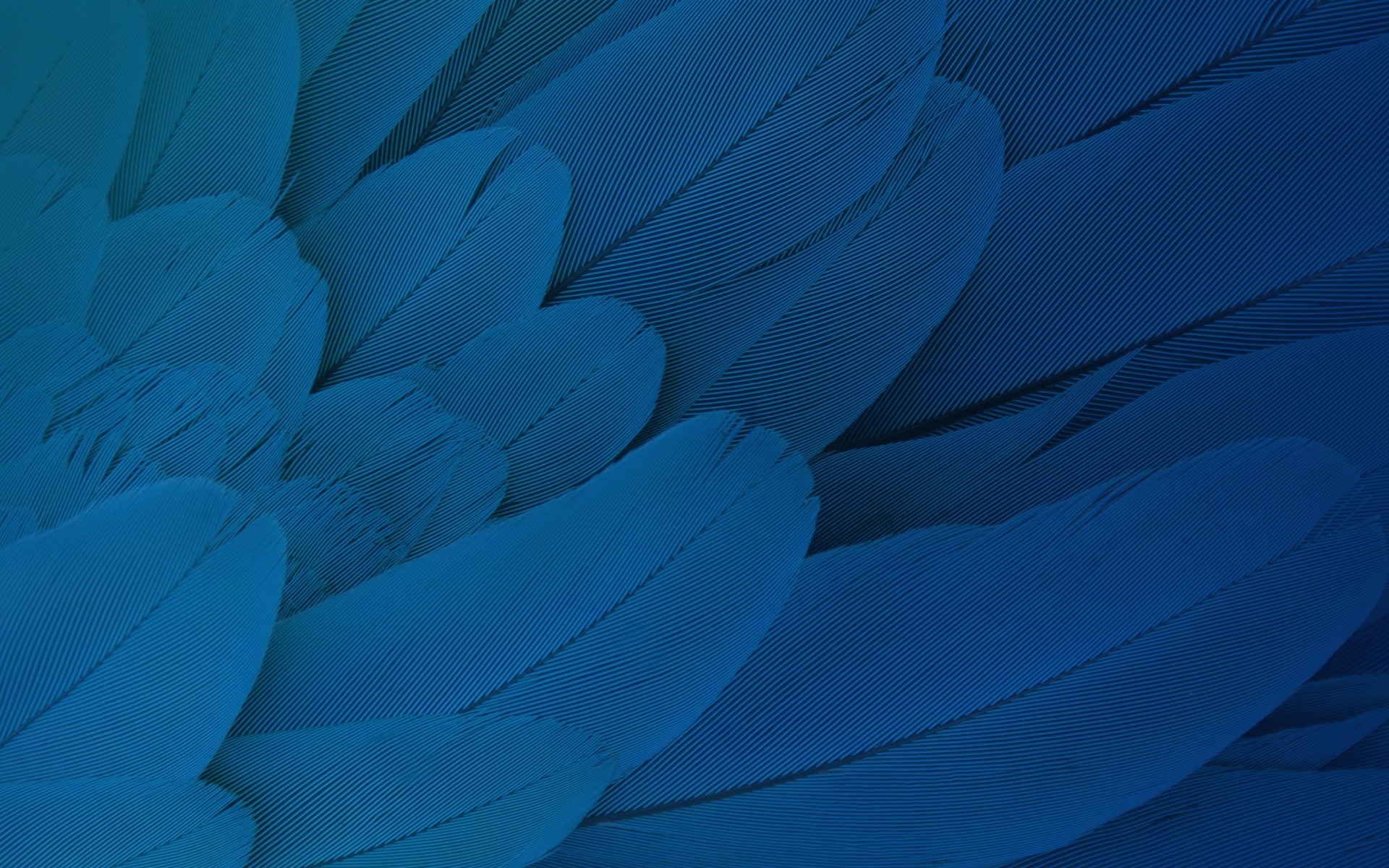 炫酷时尚 色彩 纹理