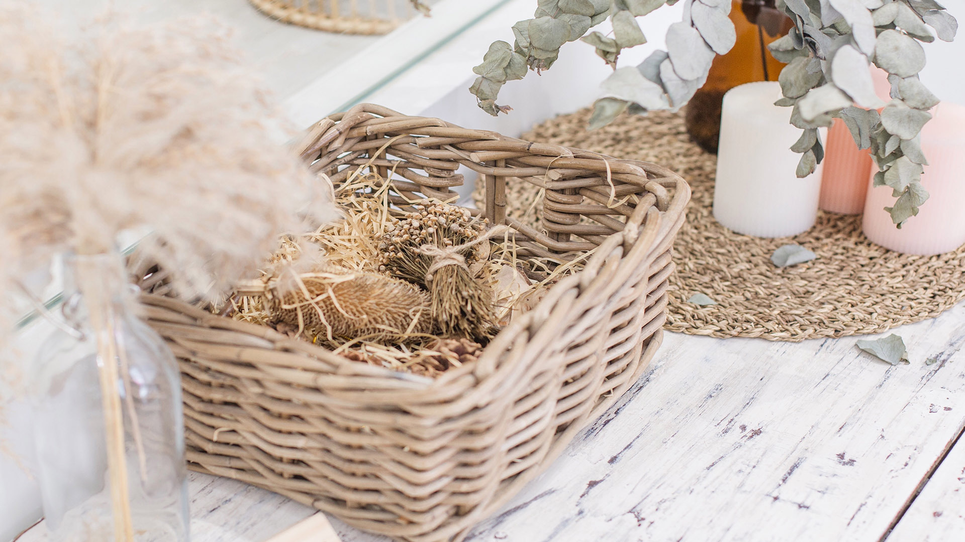 静物写真  简单小清新 简约