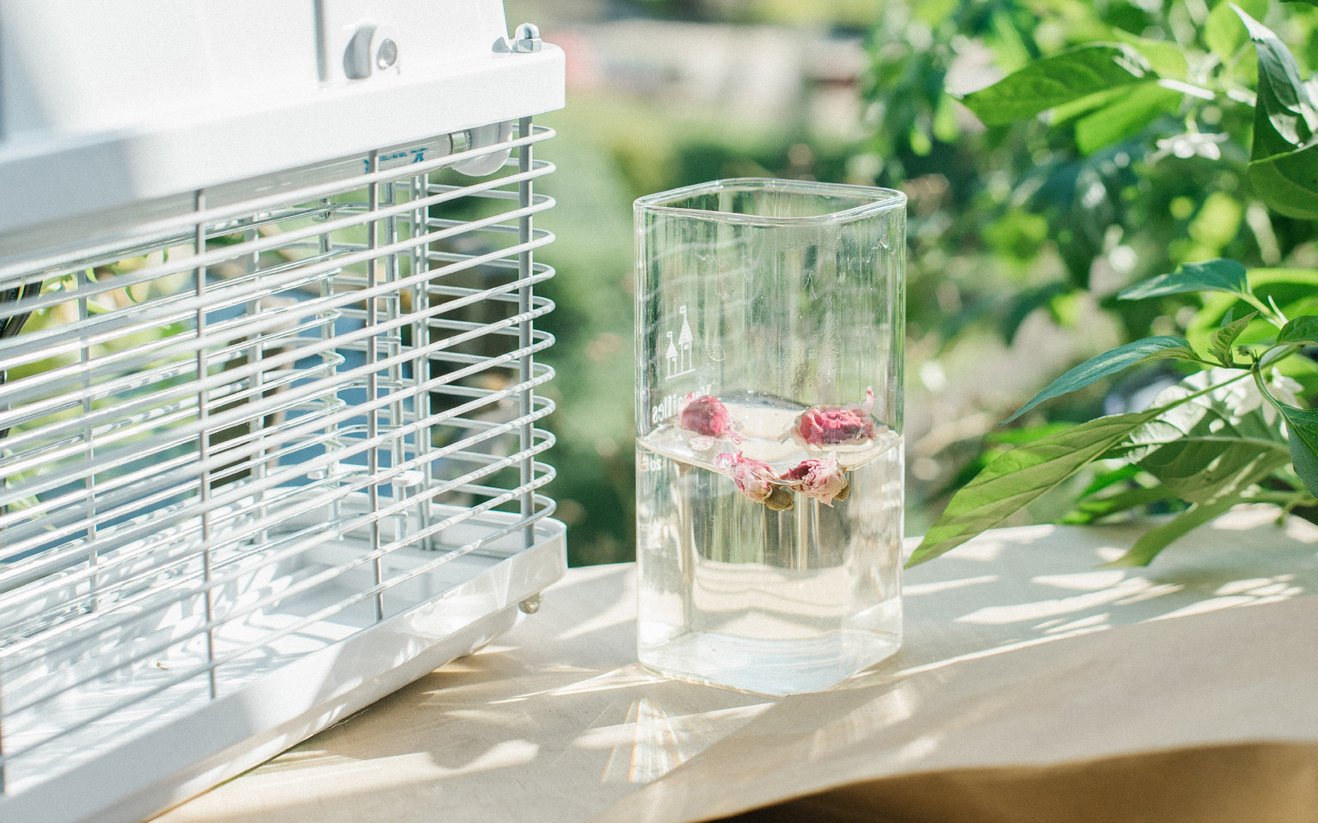 小清新 静物写真