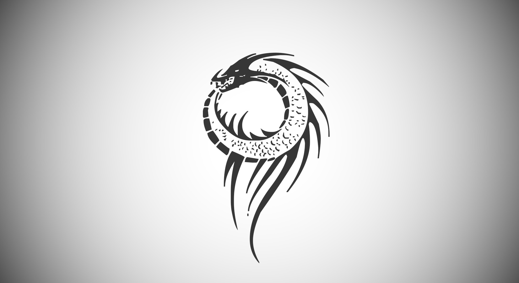 炫酷时尚 简约 龙