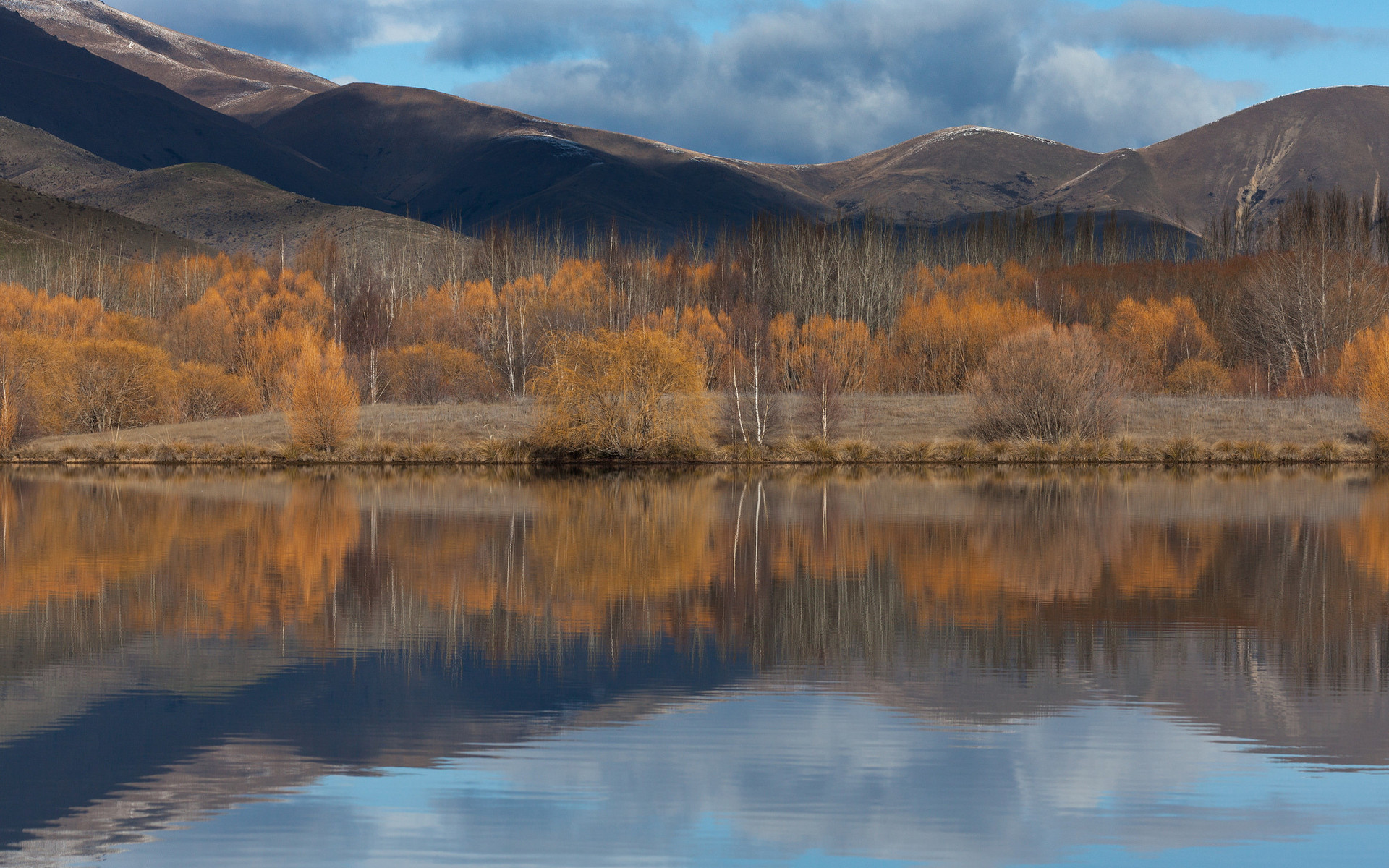 风景  自然美景  萧瑟   宽屏