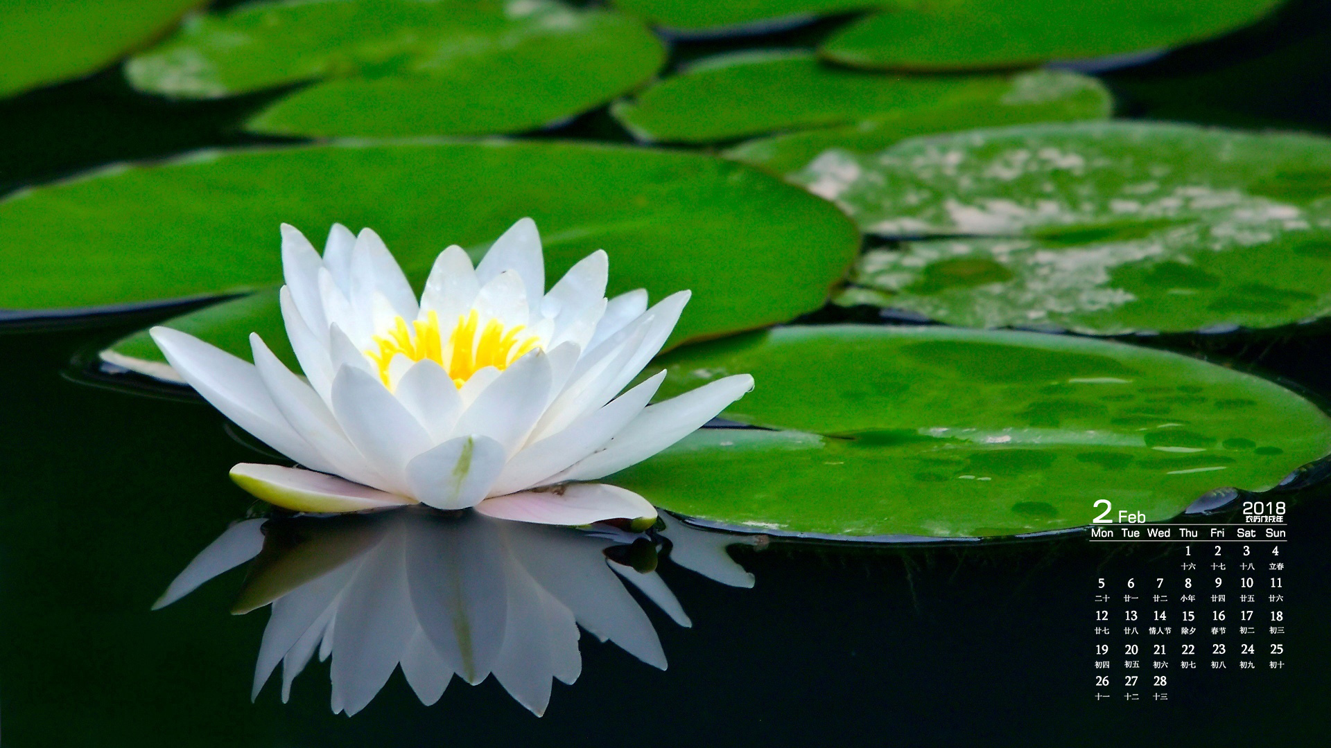 月历 2018年2月