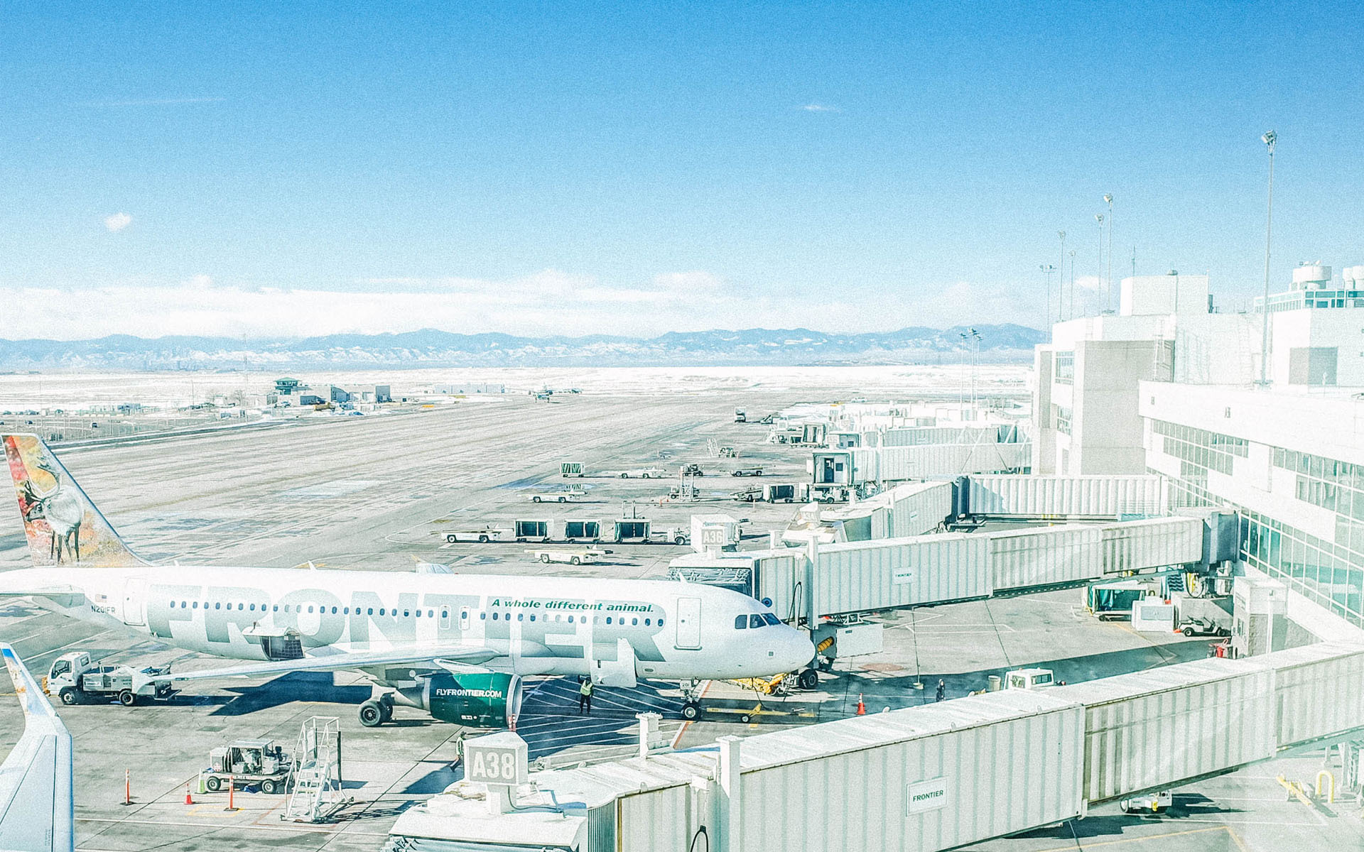 机场 飞机 客机