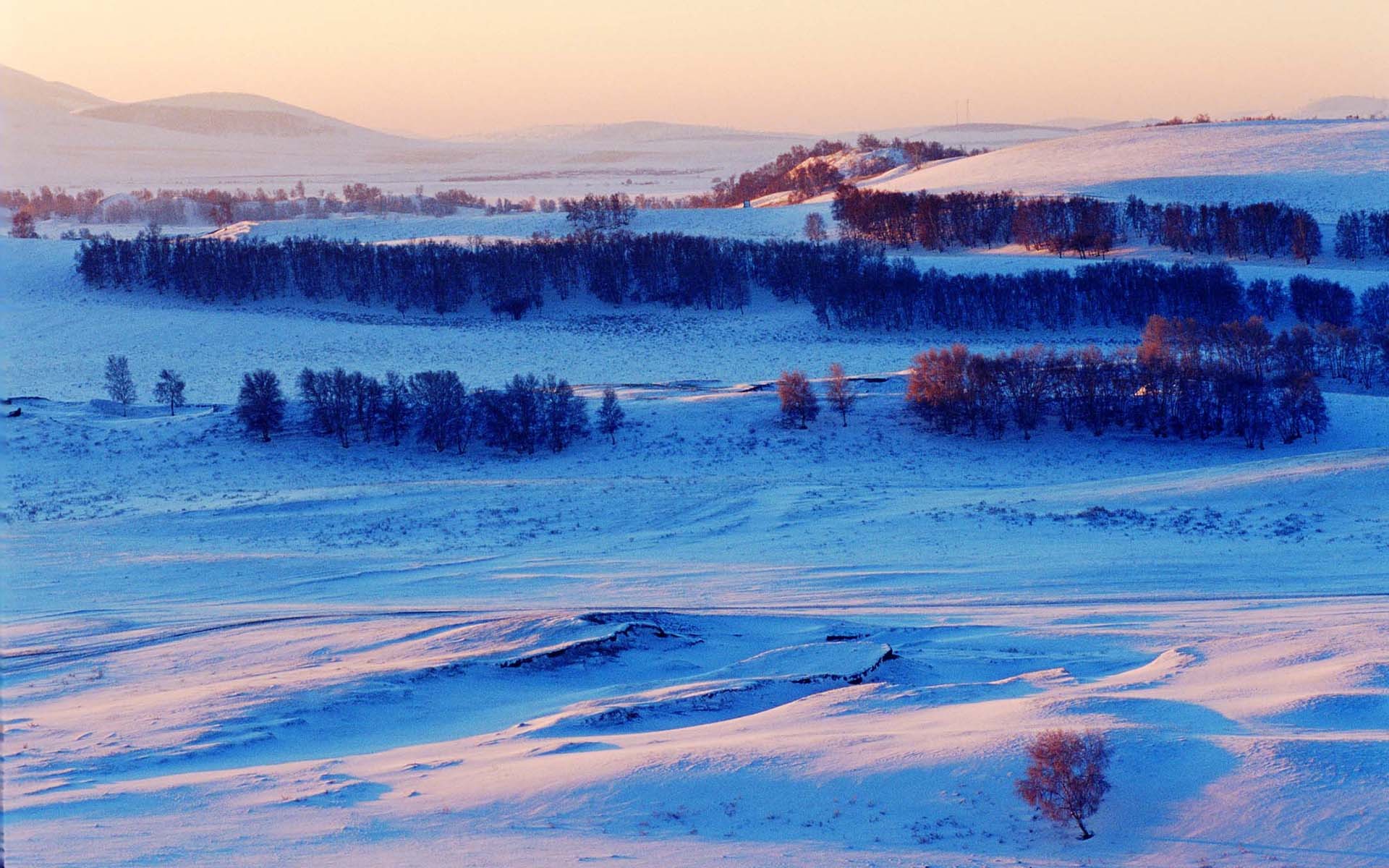 风景 大雪 雪景