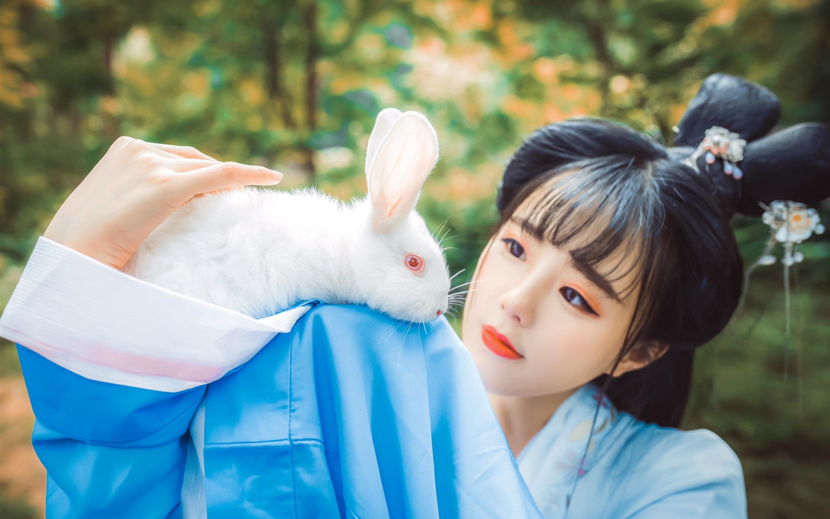 文艺古风 兔子