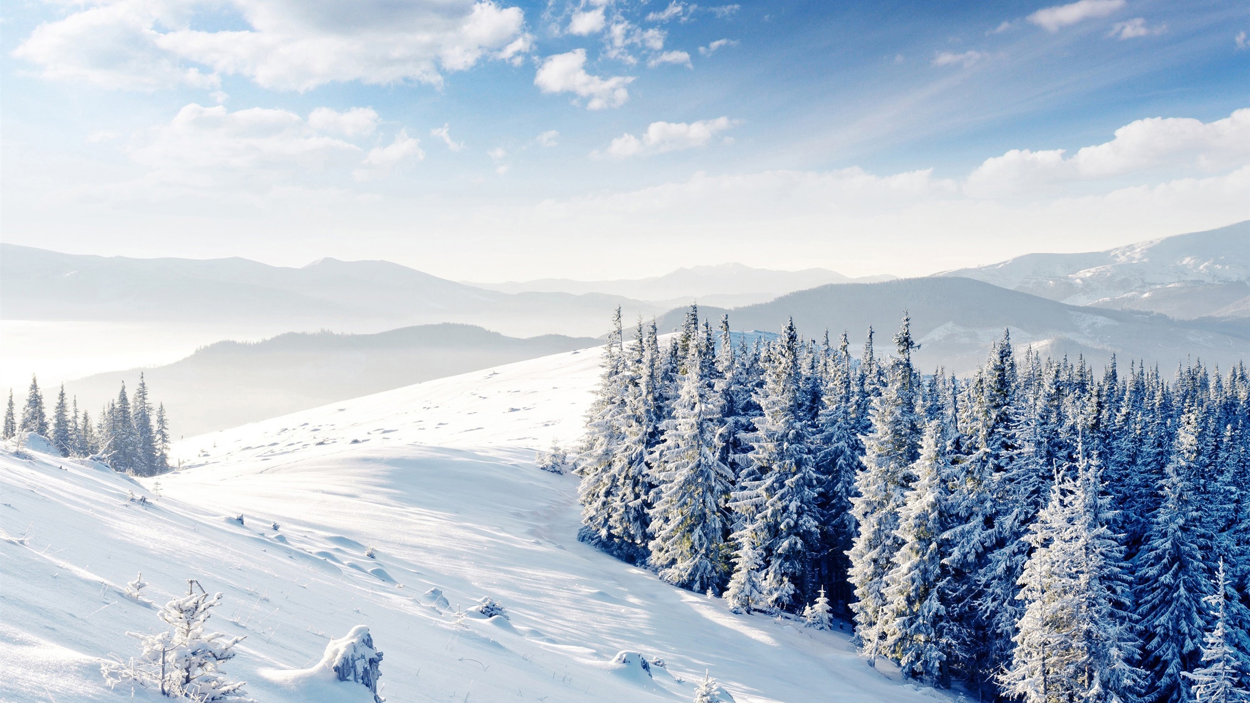 风景 冰天雪地 雪景