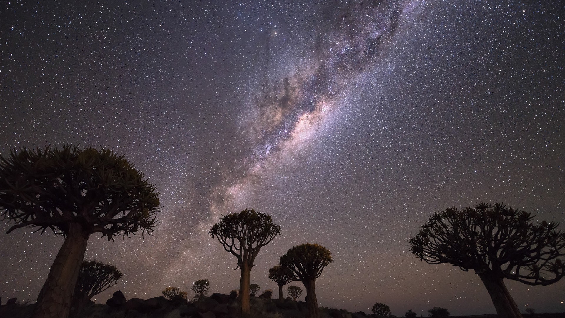 风景 夜景 星空 银河