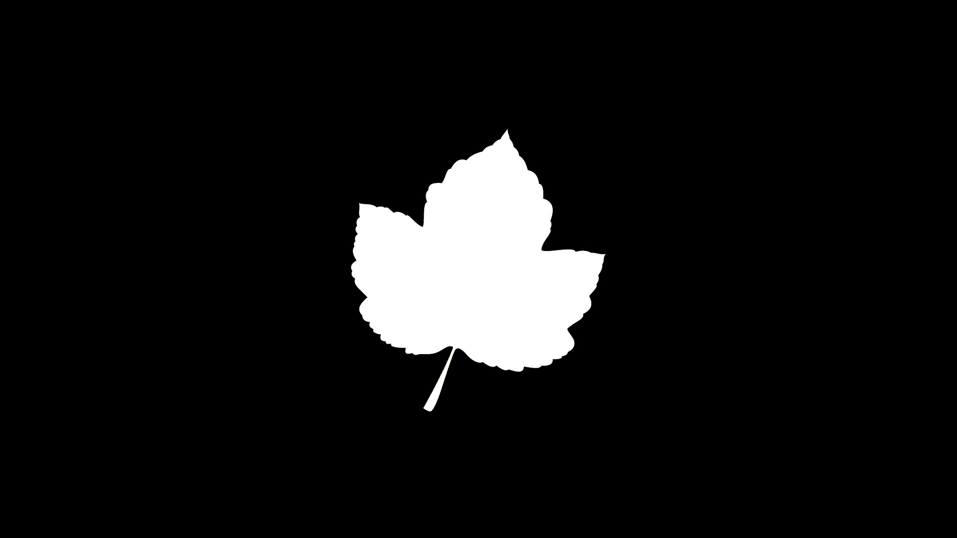 简约 枫叶 剪影