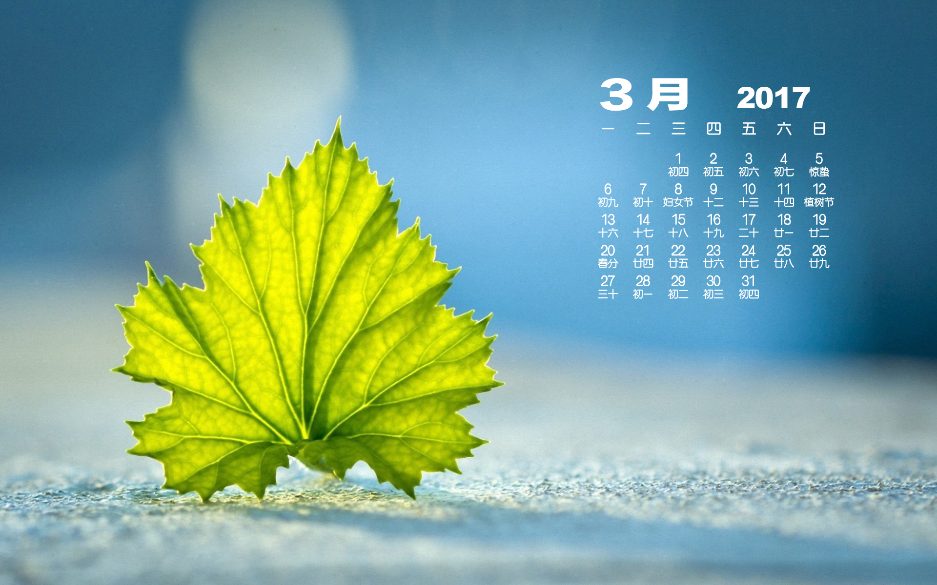 2017年3月 小清新 绿色叶子