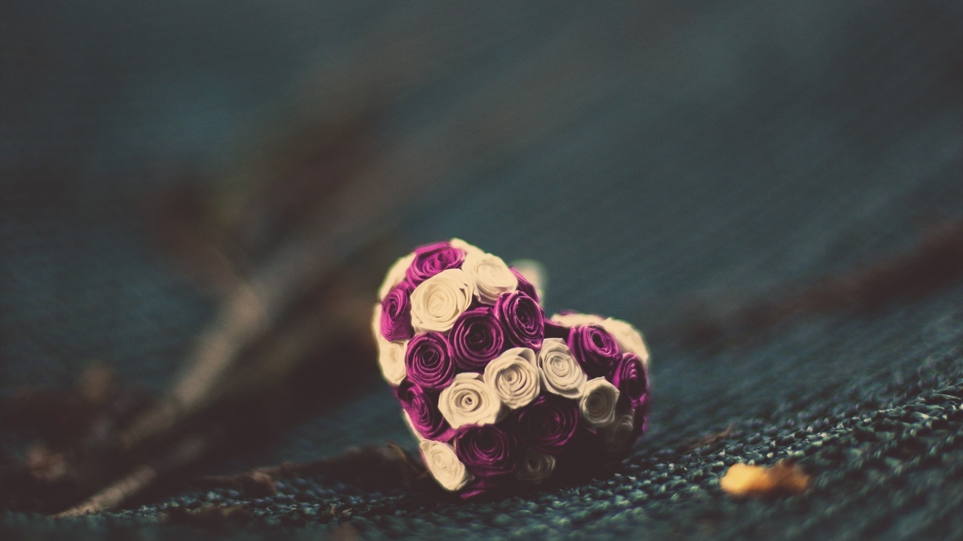 唯美温馨 玫瑰花 爱心