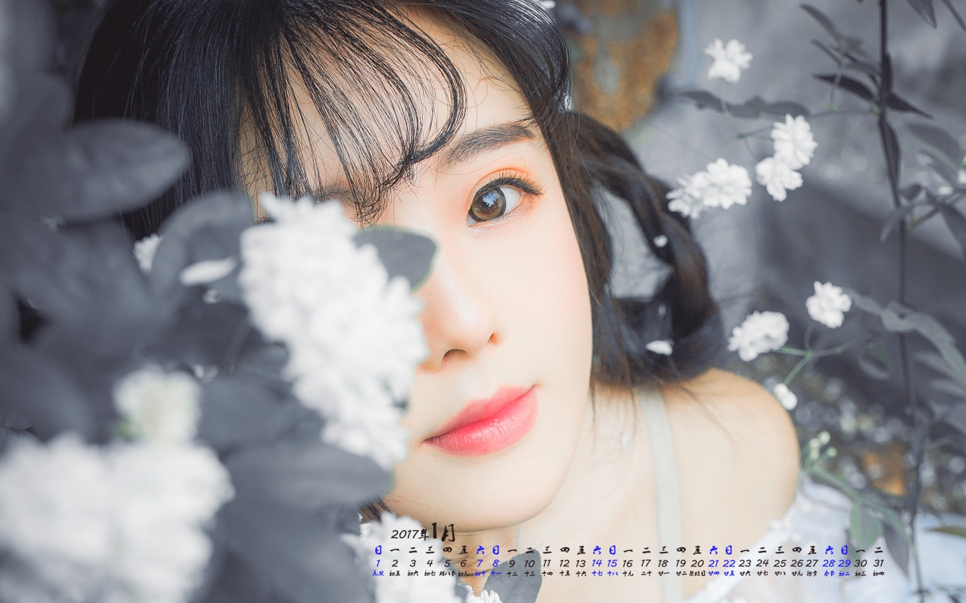 1月 美女 鲜花