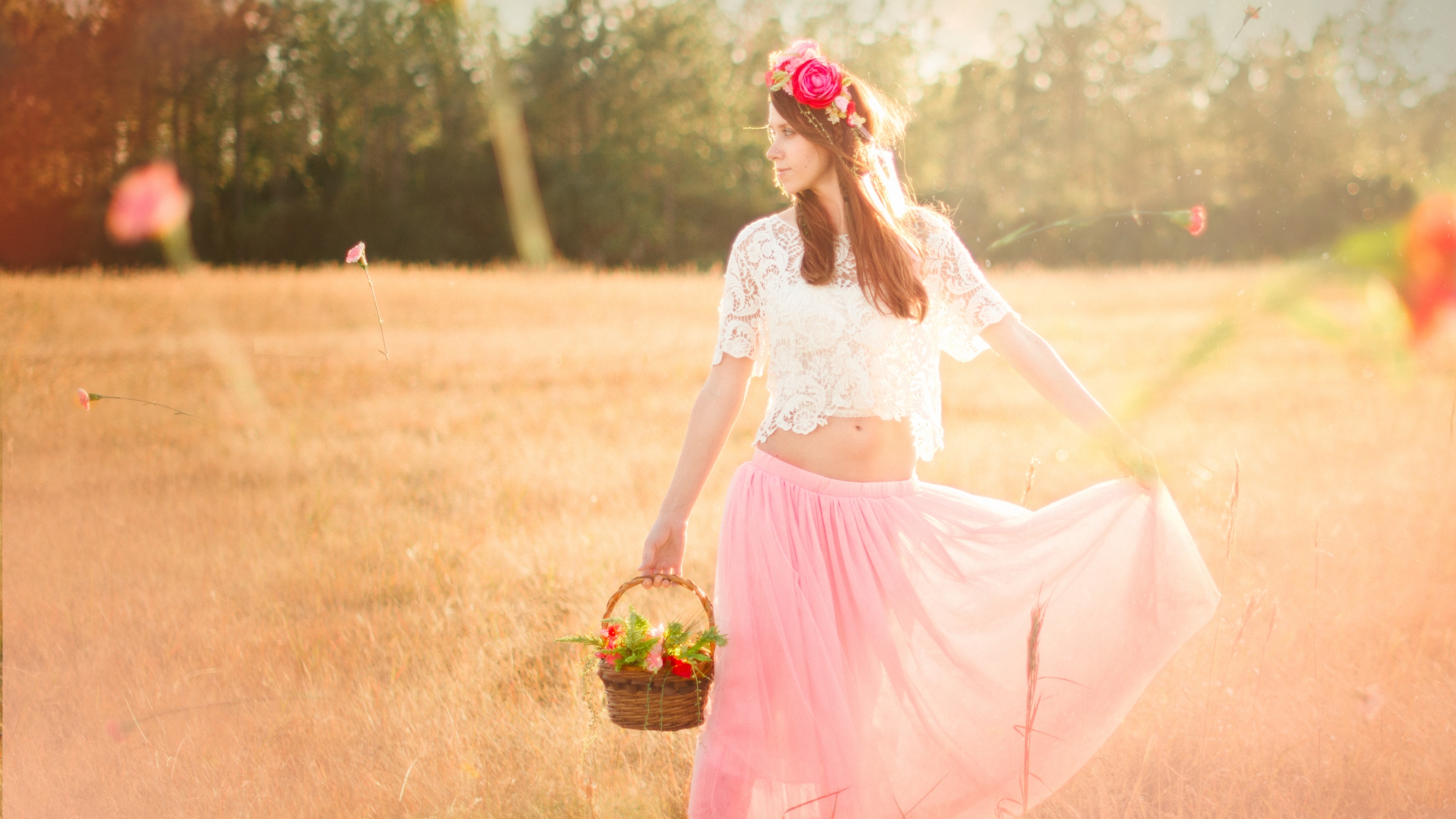 欧美 鲜花 阳光