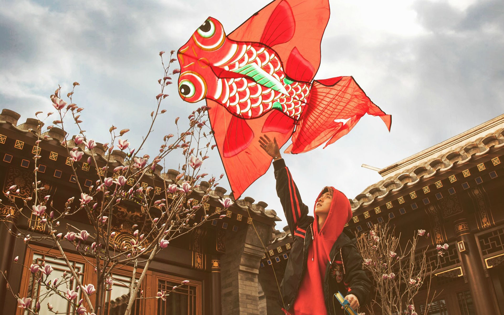 鹿晗 金鱼 风筝