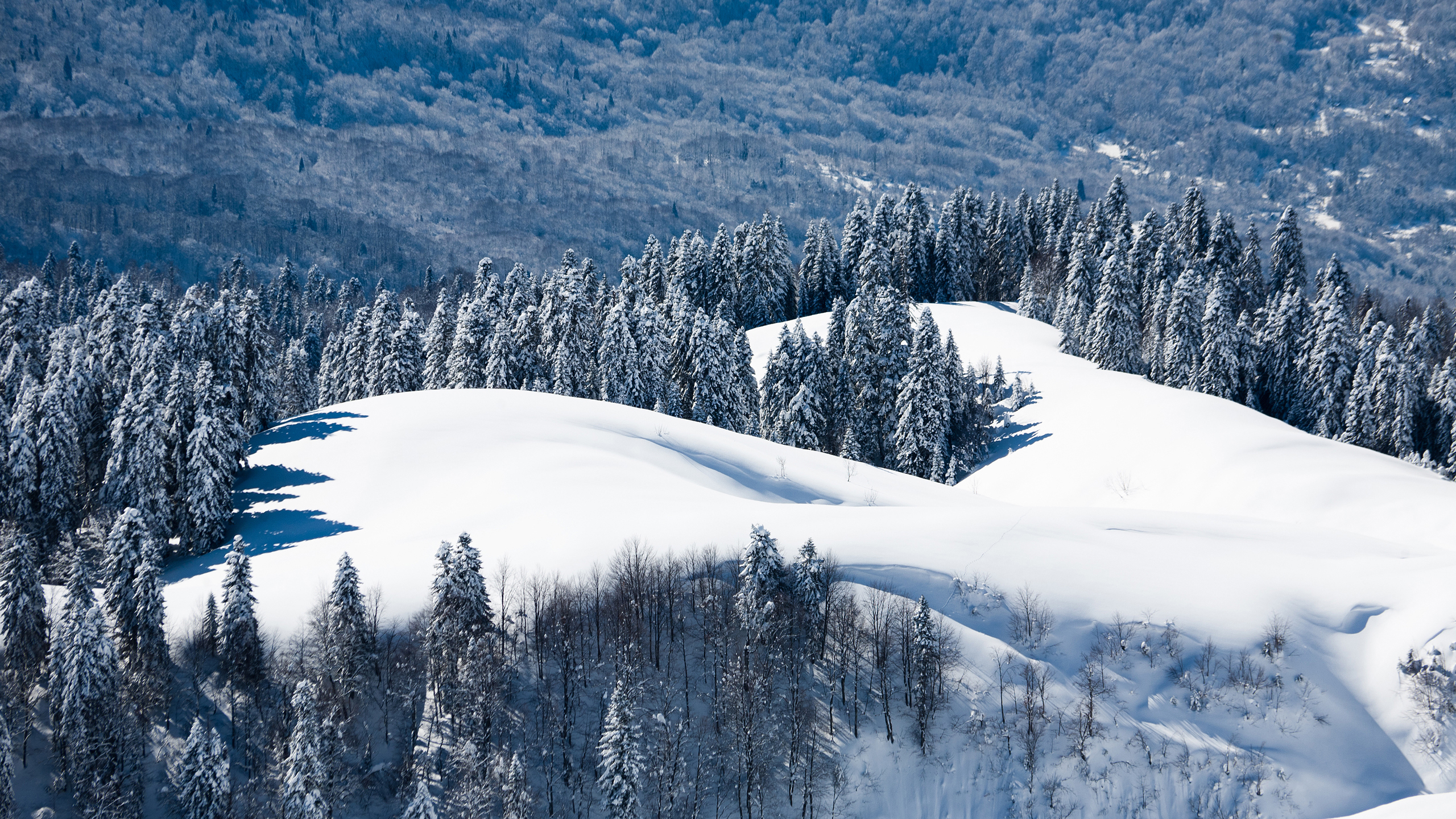 风景 冰天雪地