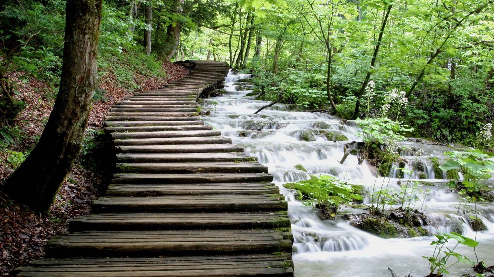 小清新 舒缓压力 溪流