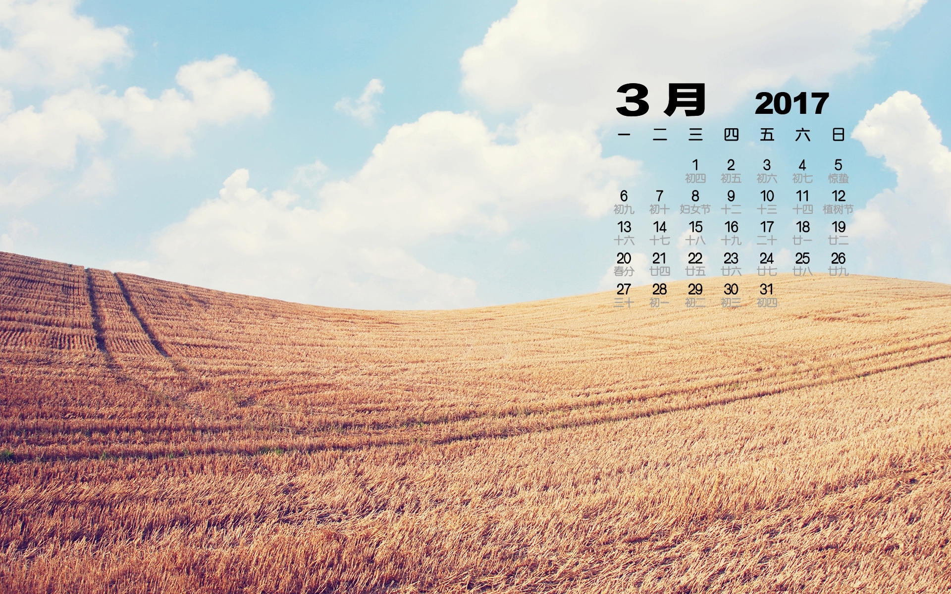 2017年3月 麦田