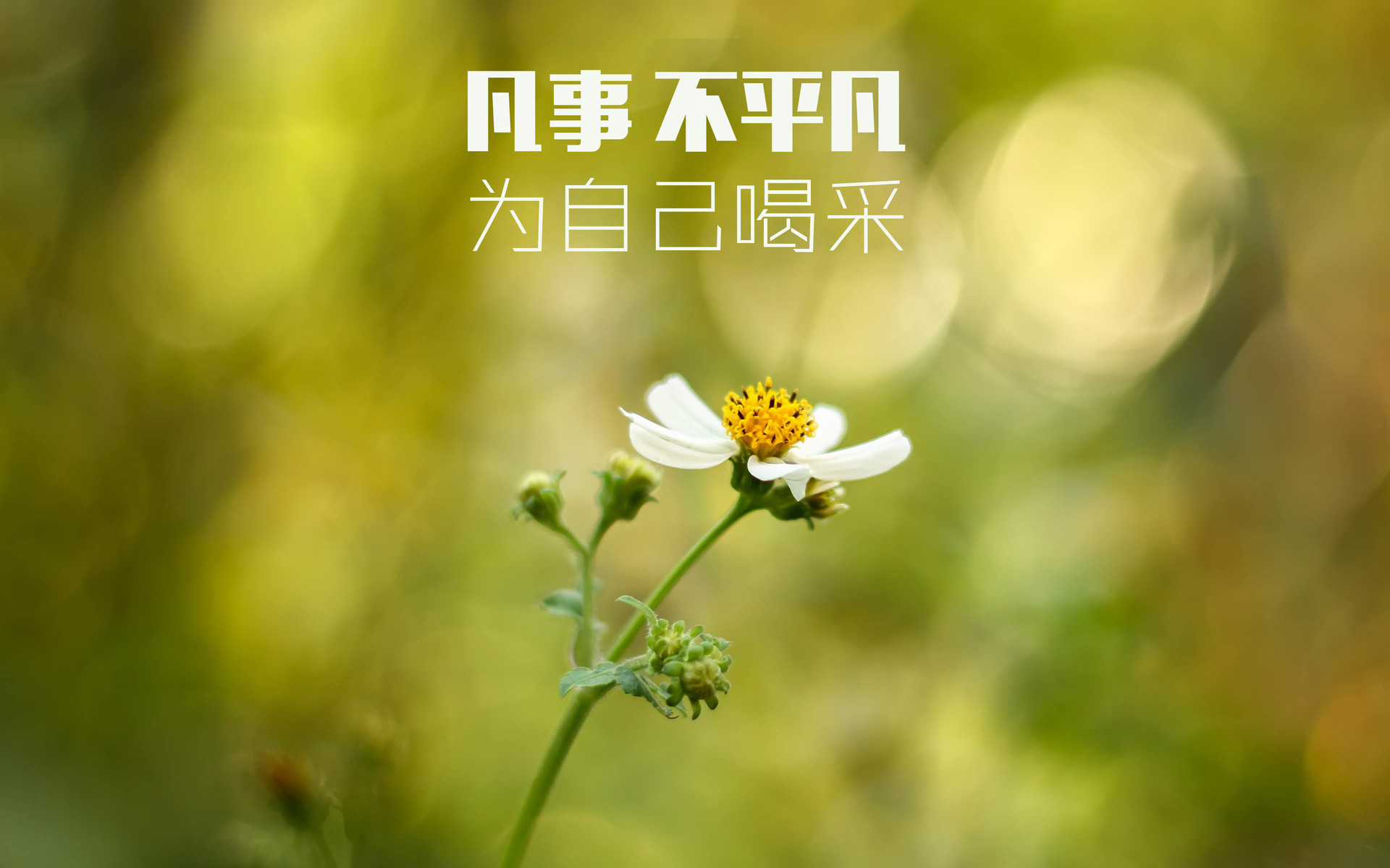 文字 励志 鼓励