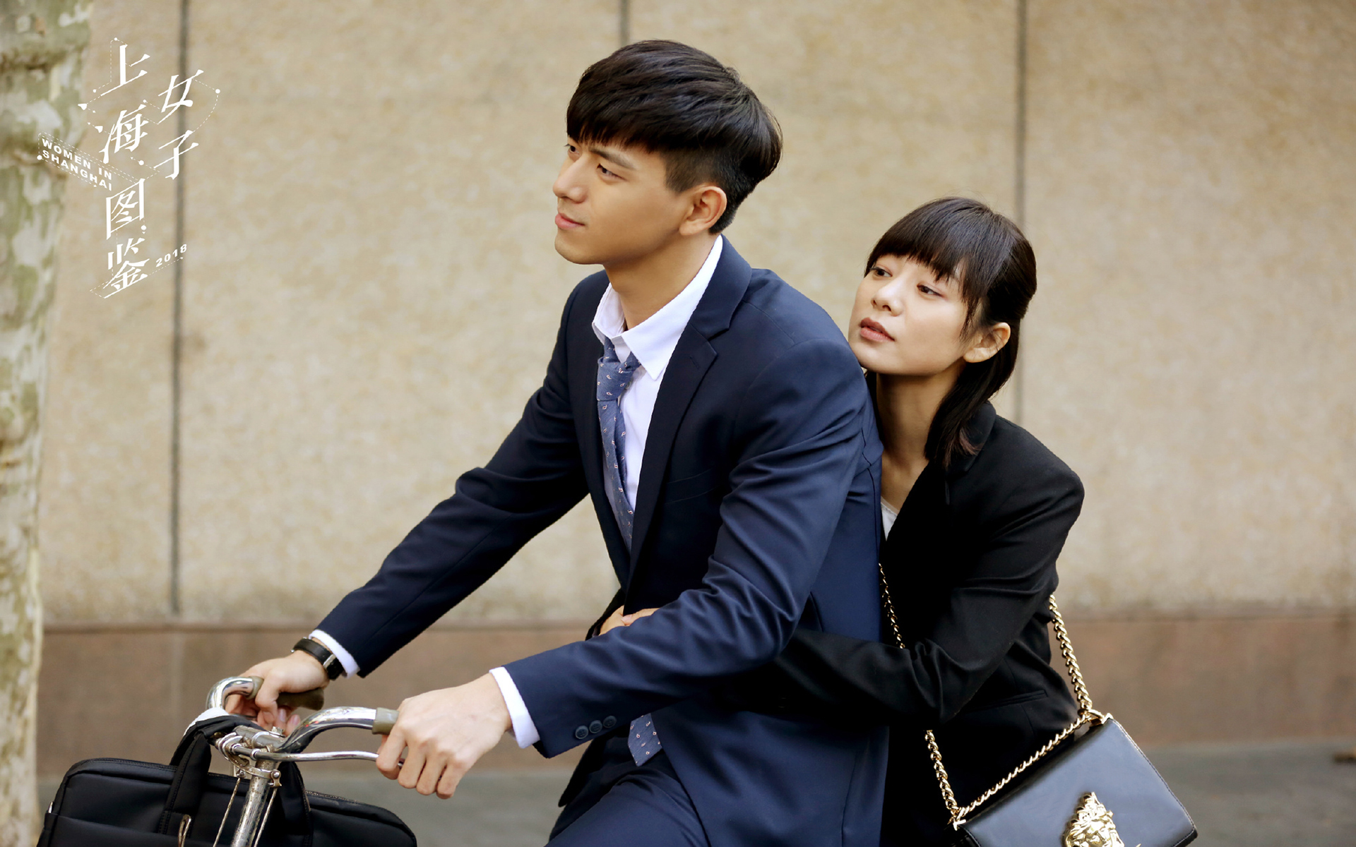 影视 电视剧 上海女子图鉴