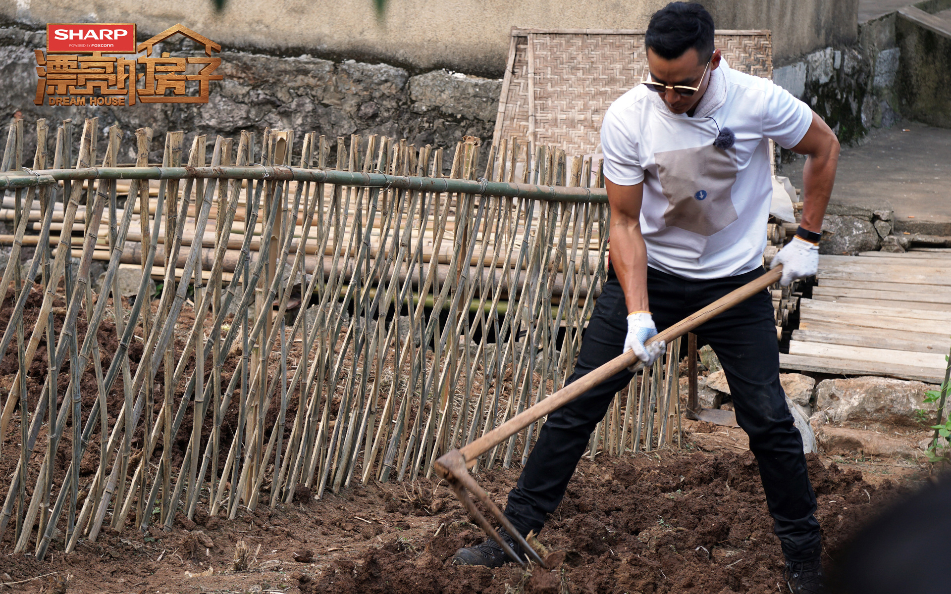 影视 综艺 吴彦祖 漂亮的房子
