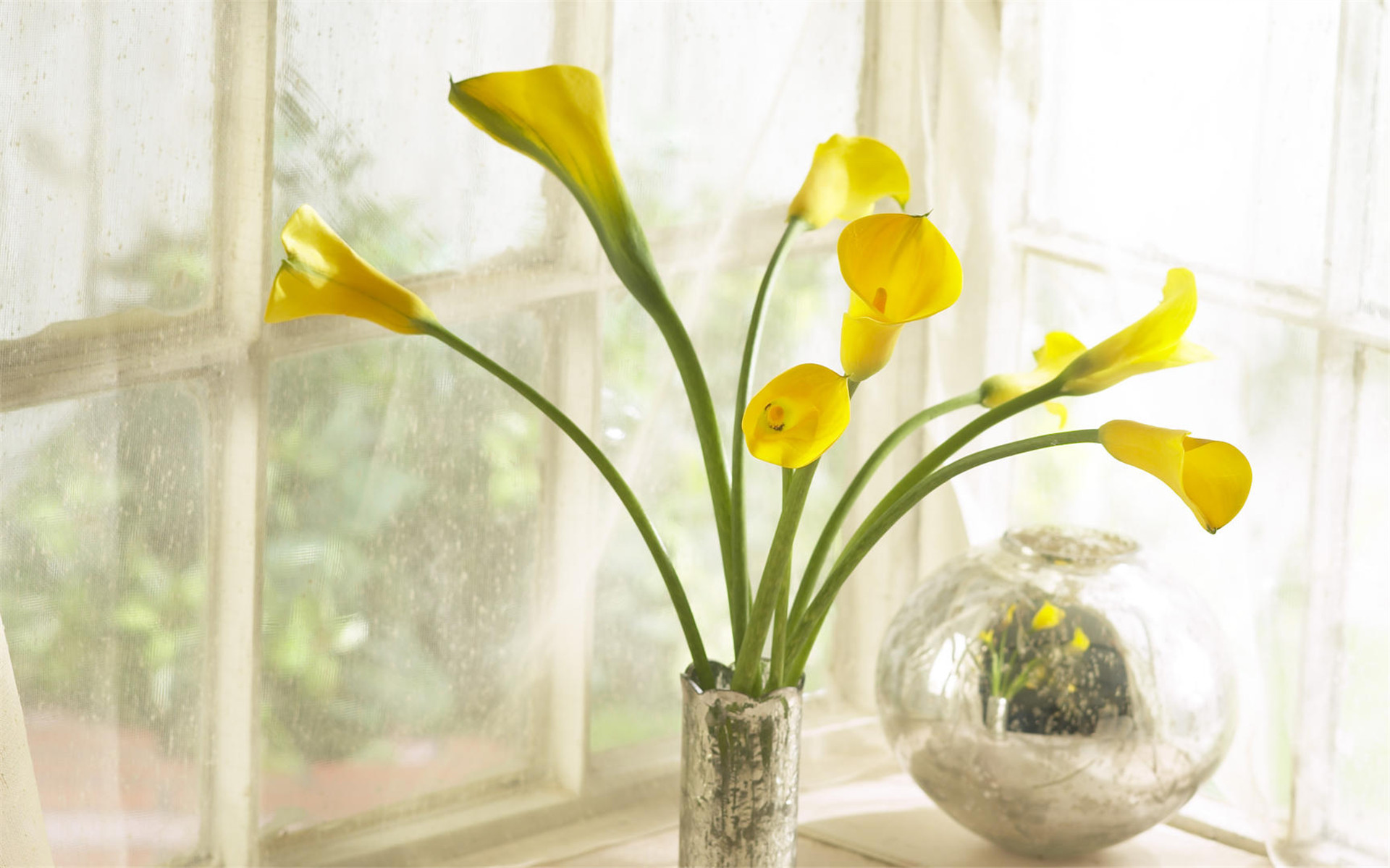 小清新 插花 盆景 简单可爱 宽屏
