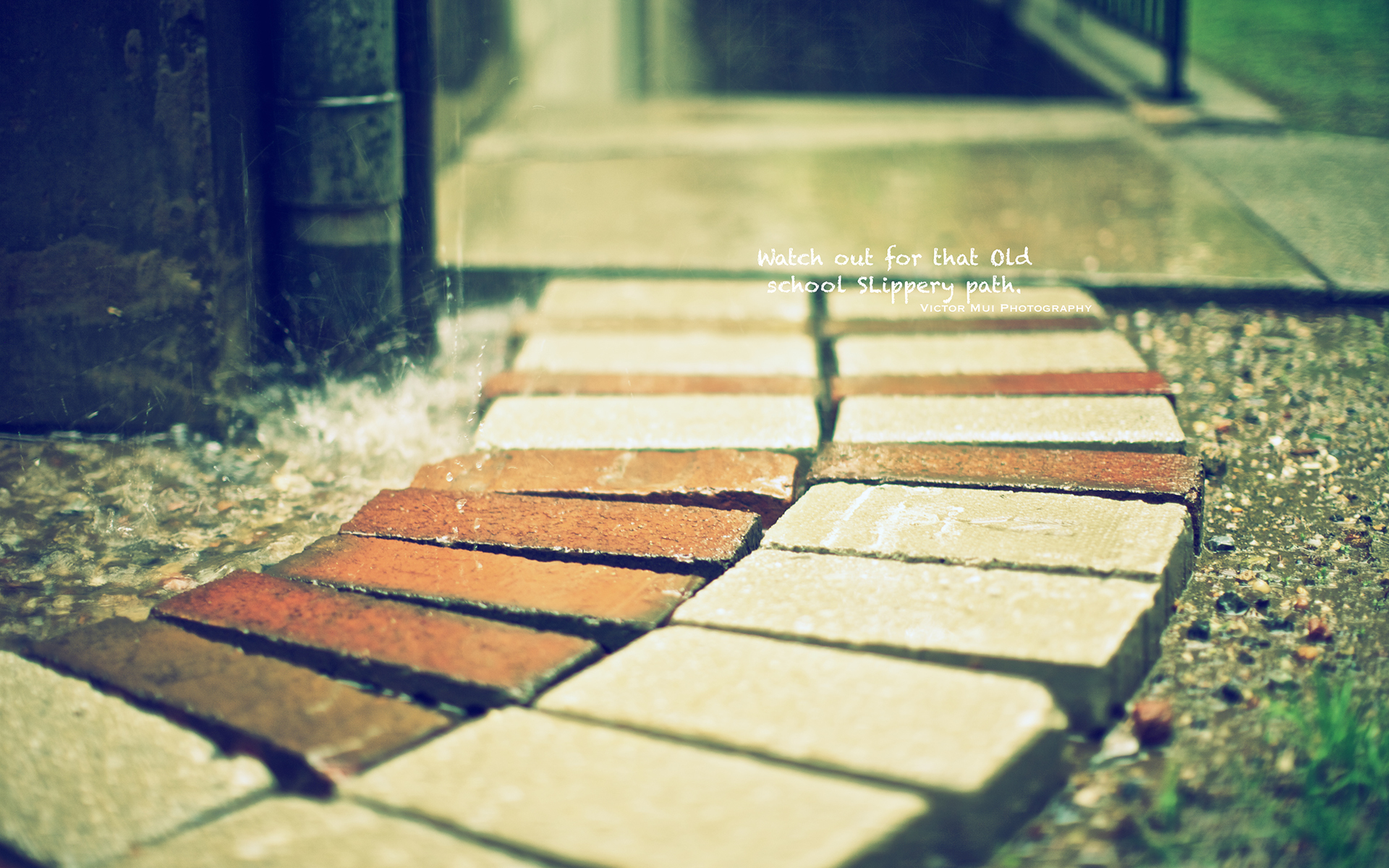 文字 道路 英文