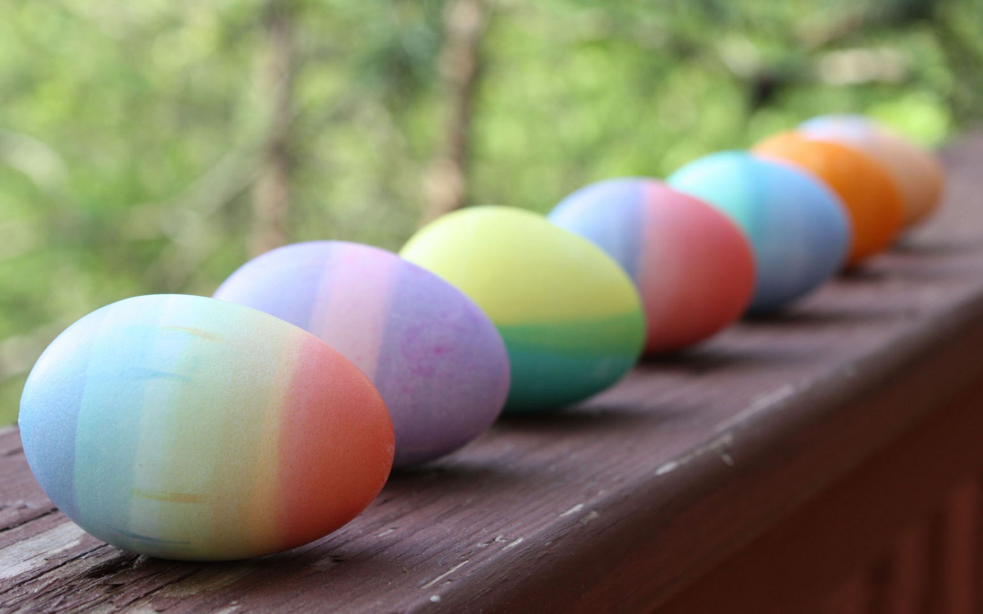 小清新 彩蛋 简单可爱