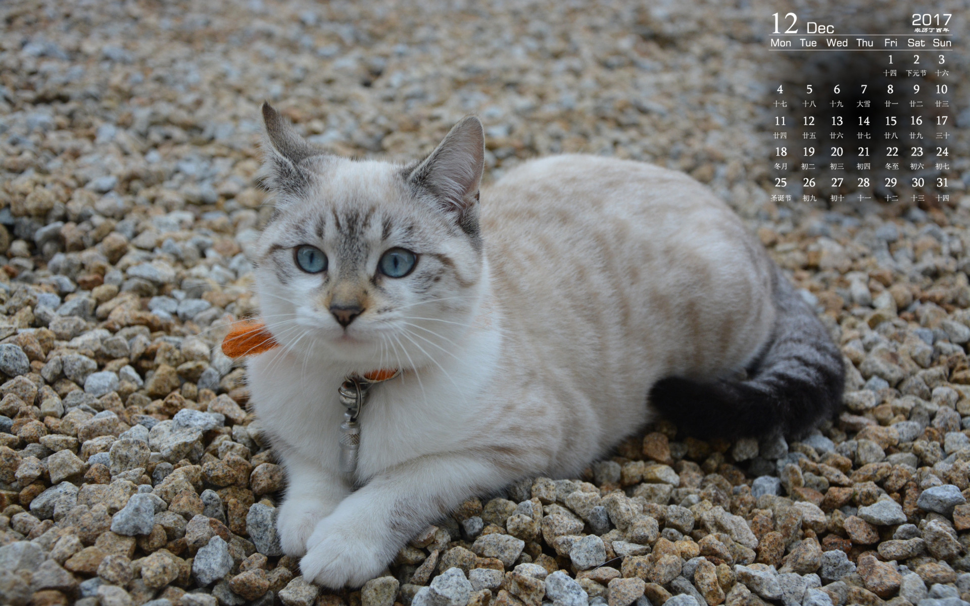 月历 2017年12月