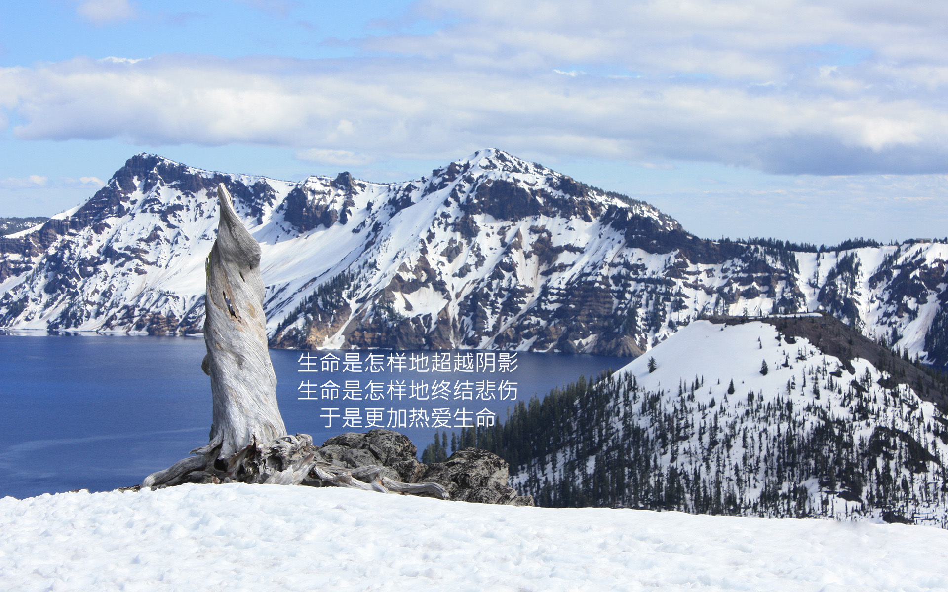 文字 语录 励志