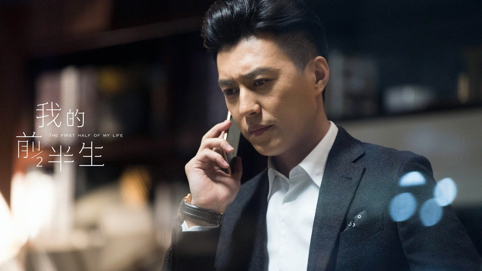 影视 电视剧 我的前半生 靳东