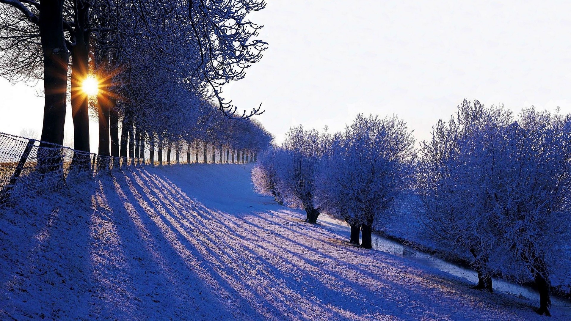 风景  雪景  阳光灿烂   冰天雪地