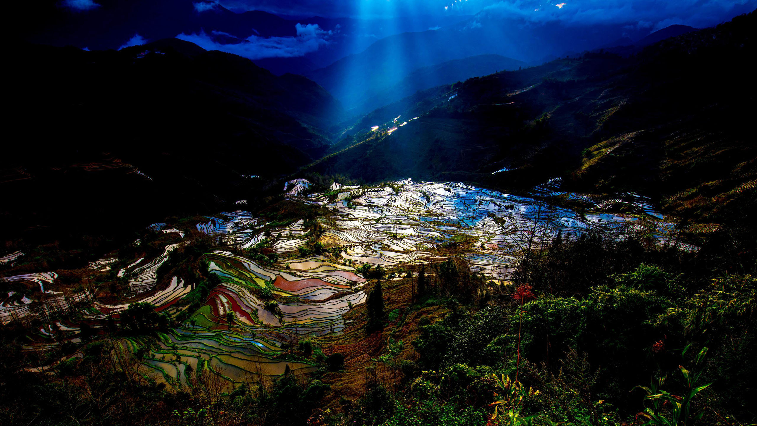 风景 自然风光 元阳梯田 田野 云南