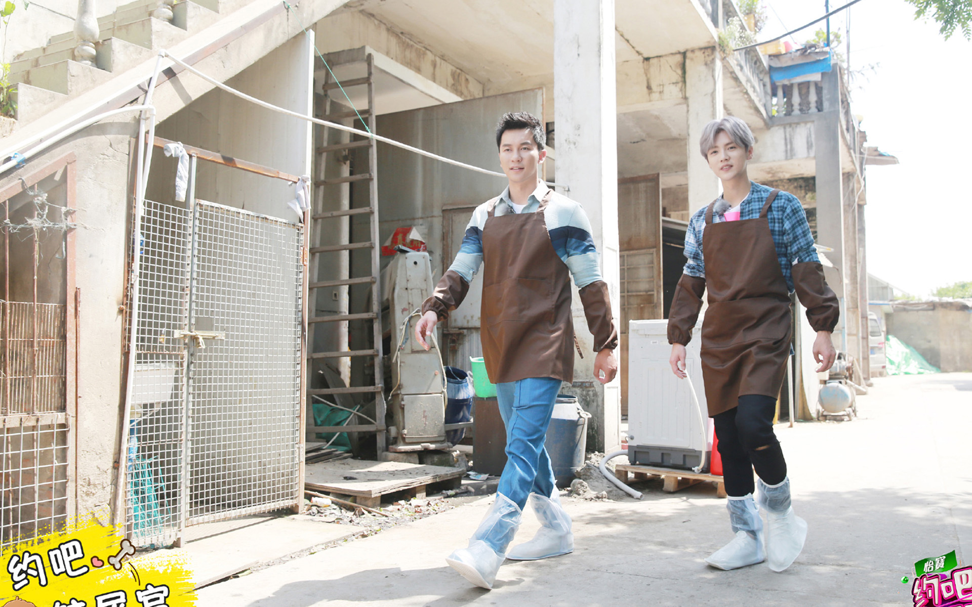 鹿晗 李晨 约吧大明星