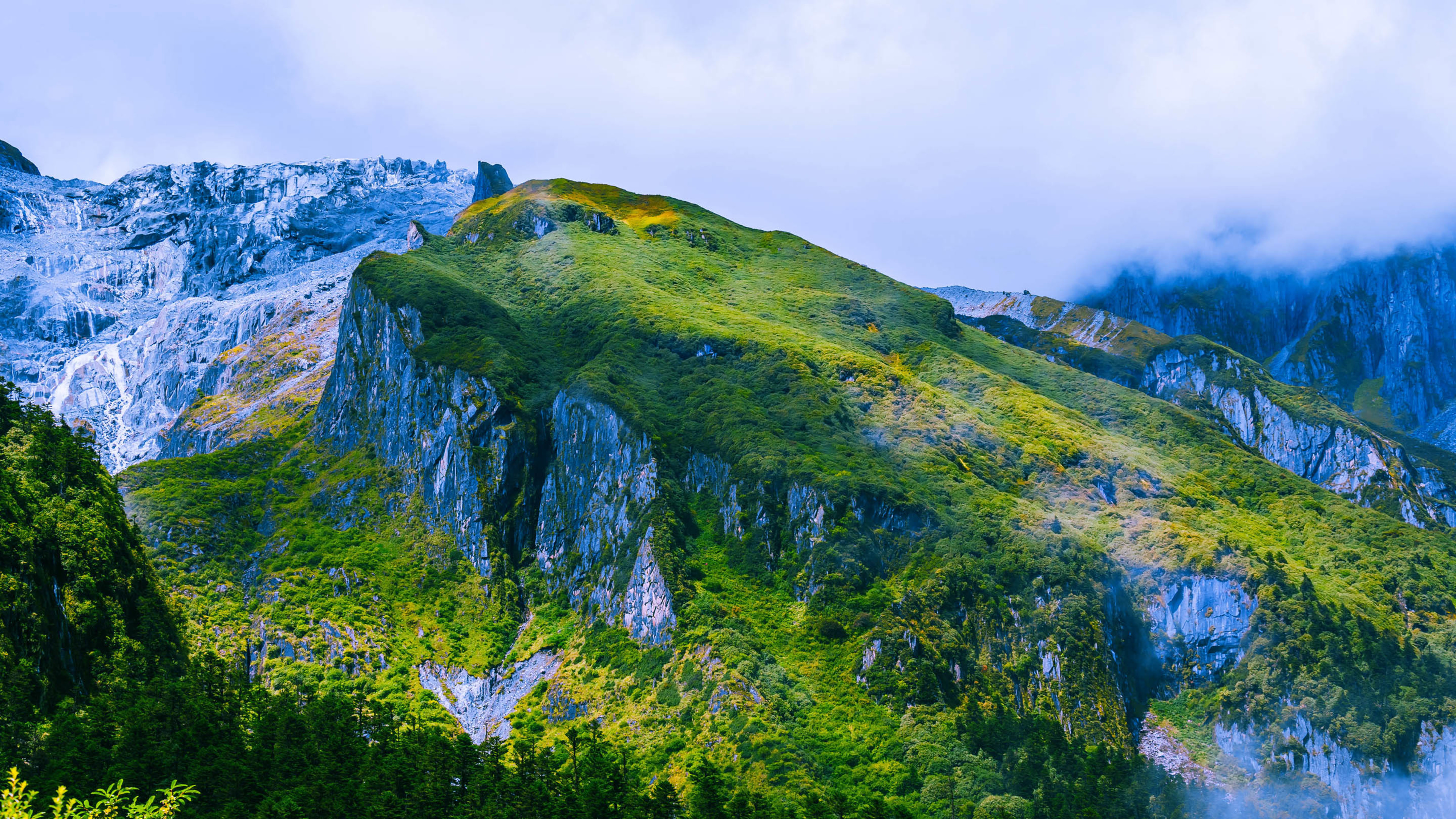 森林 山脉 绿色