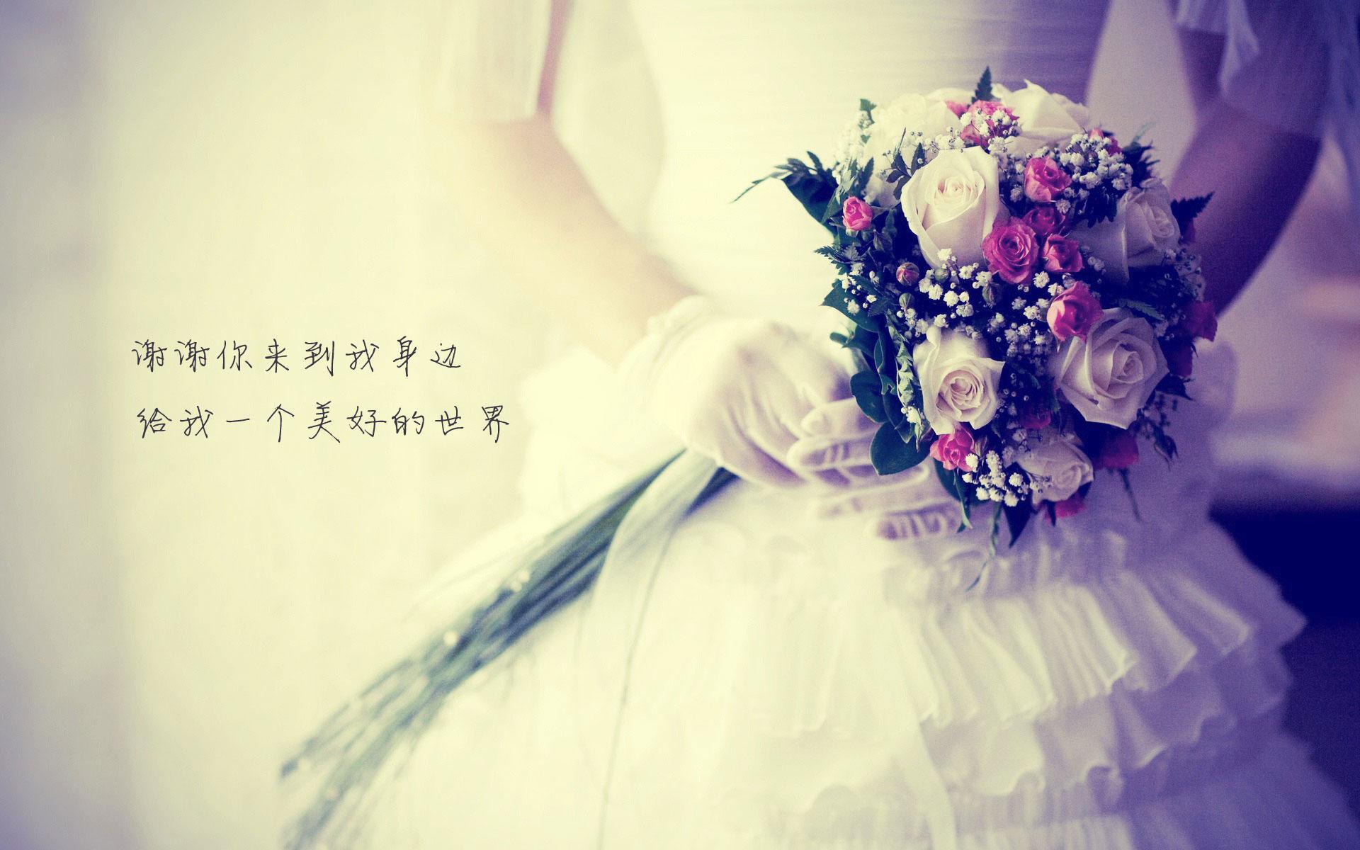 爱情 爱情箴言 爱情真谛 宽屏