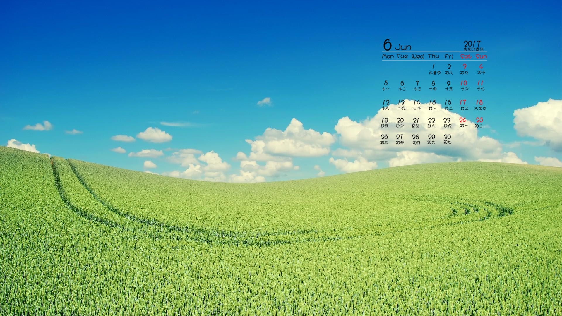 2017年6月 草地 蓝天白云