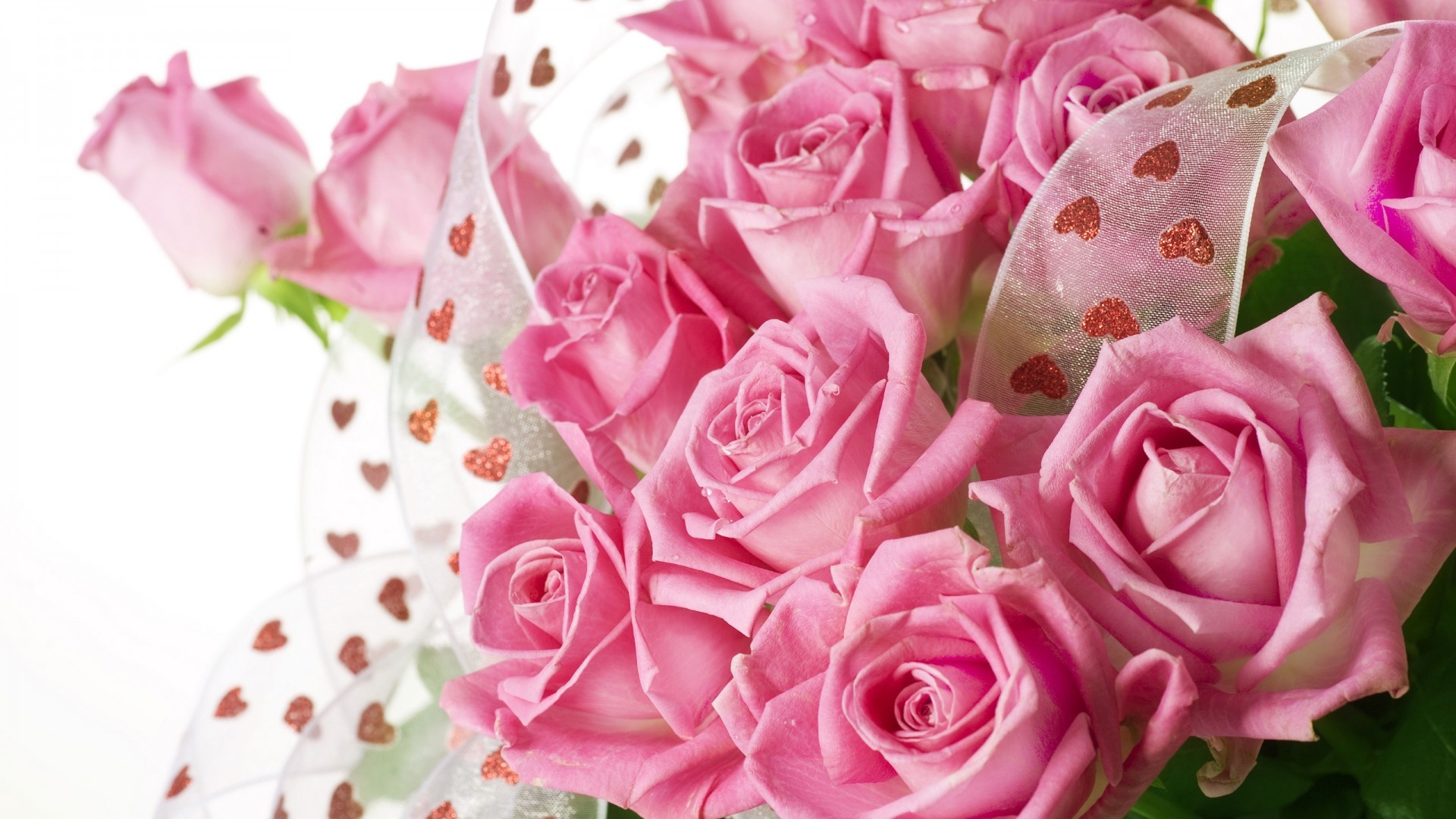 唯美温馨 玫瑰花